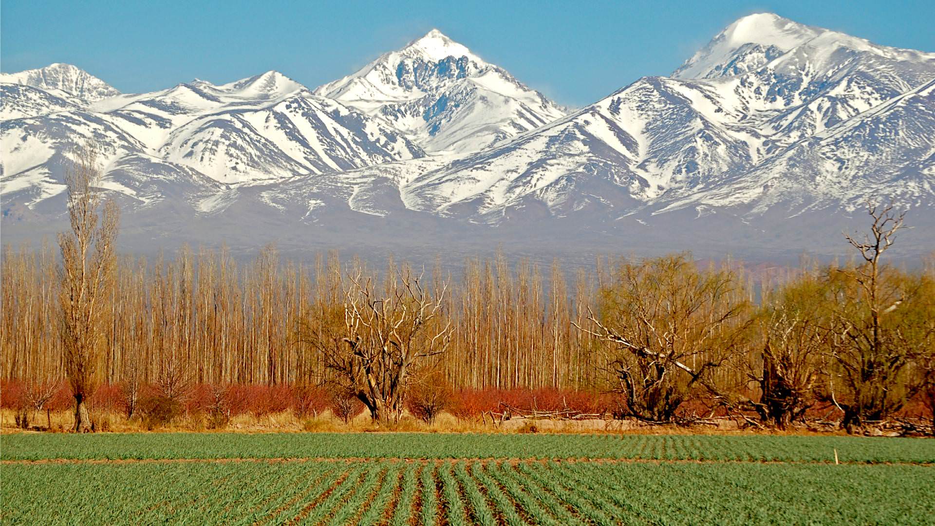 Mendoza Wallpapers Wallpaper Cave