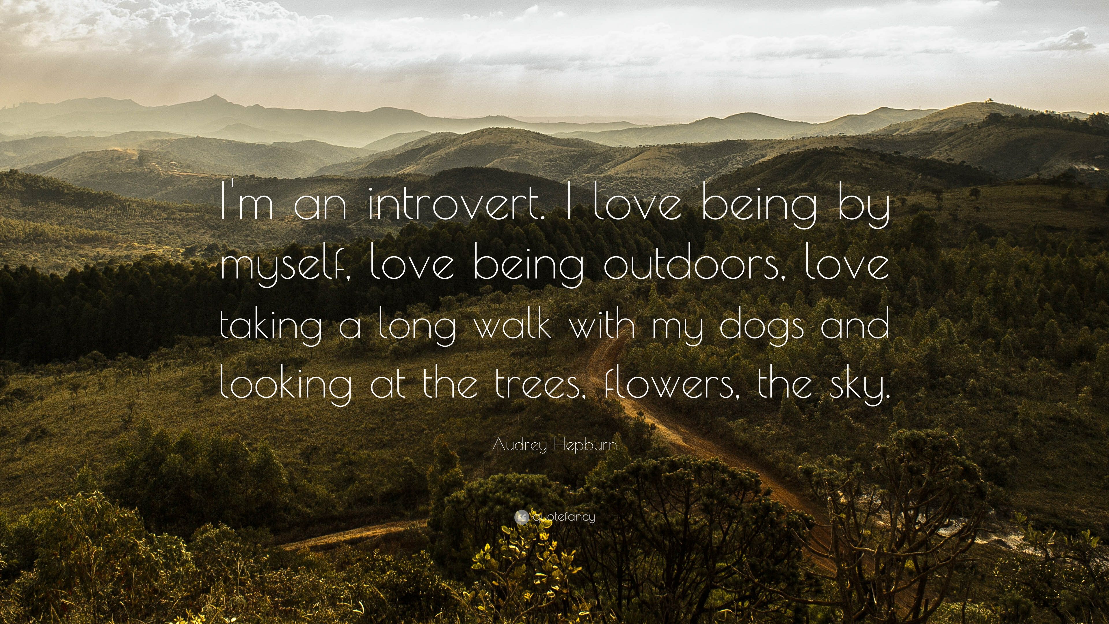 Audrey Hepburn Quote: “I'm an introvert. I love being