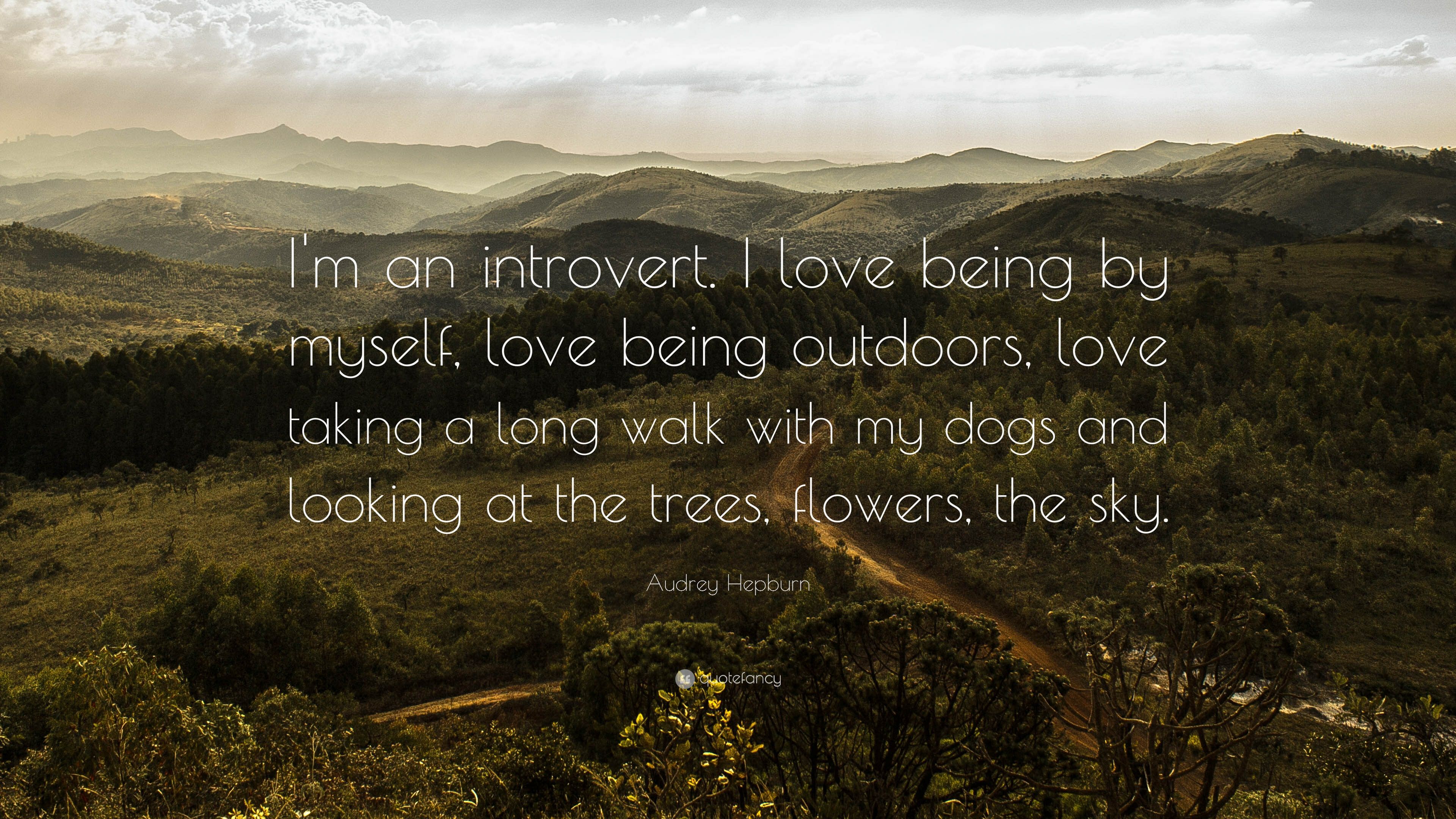 Introvert Wallpapers - Wallpaper Cave