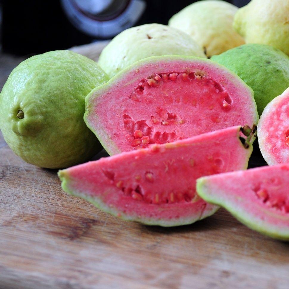 Pink Guava Fruit Isolated On White Background Stock Photo Picture And  Royalty Free Image Image 108885085