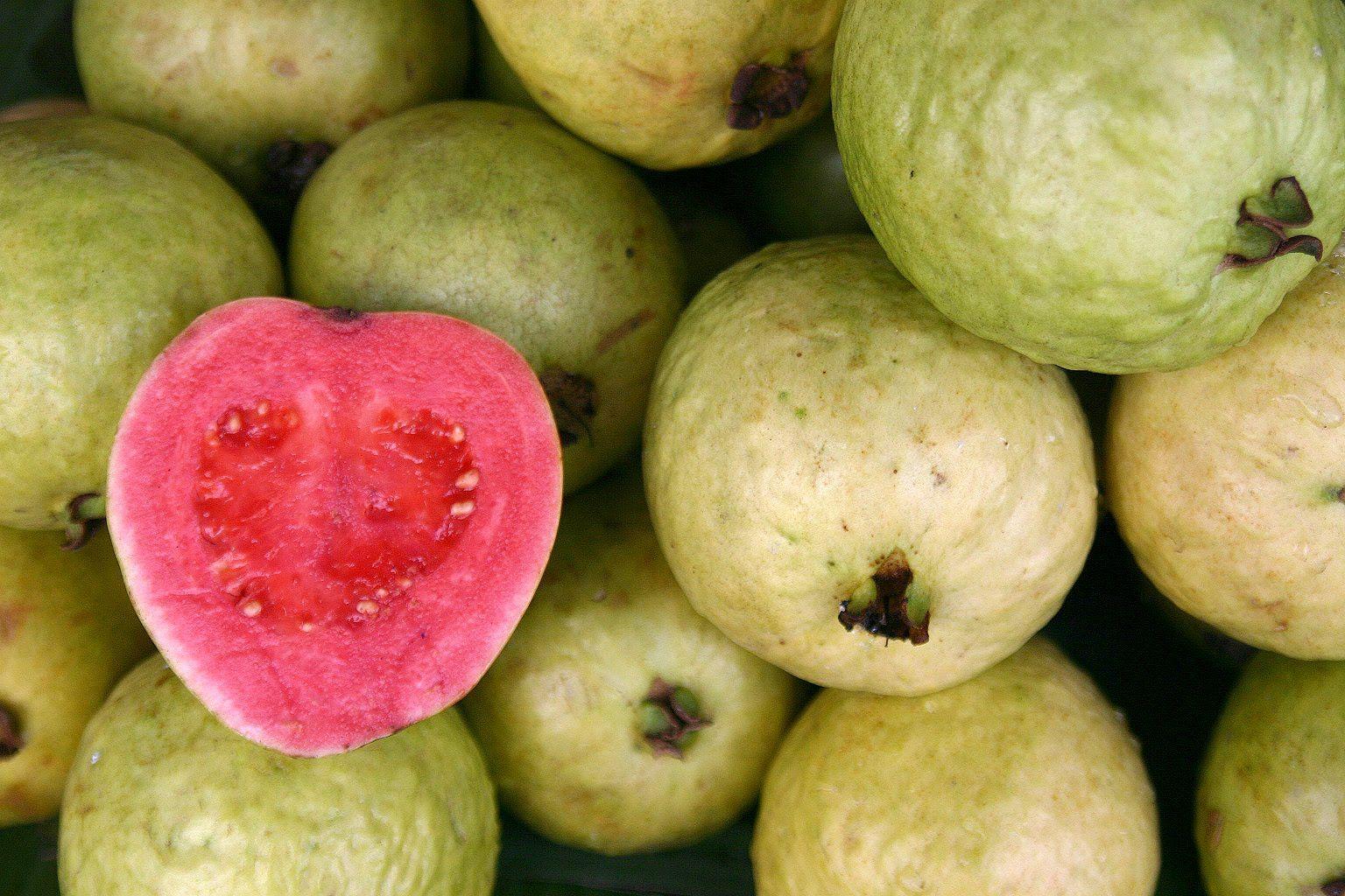 Desktop picture of guava fruit wallpaper