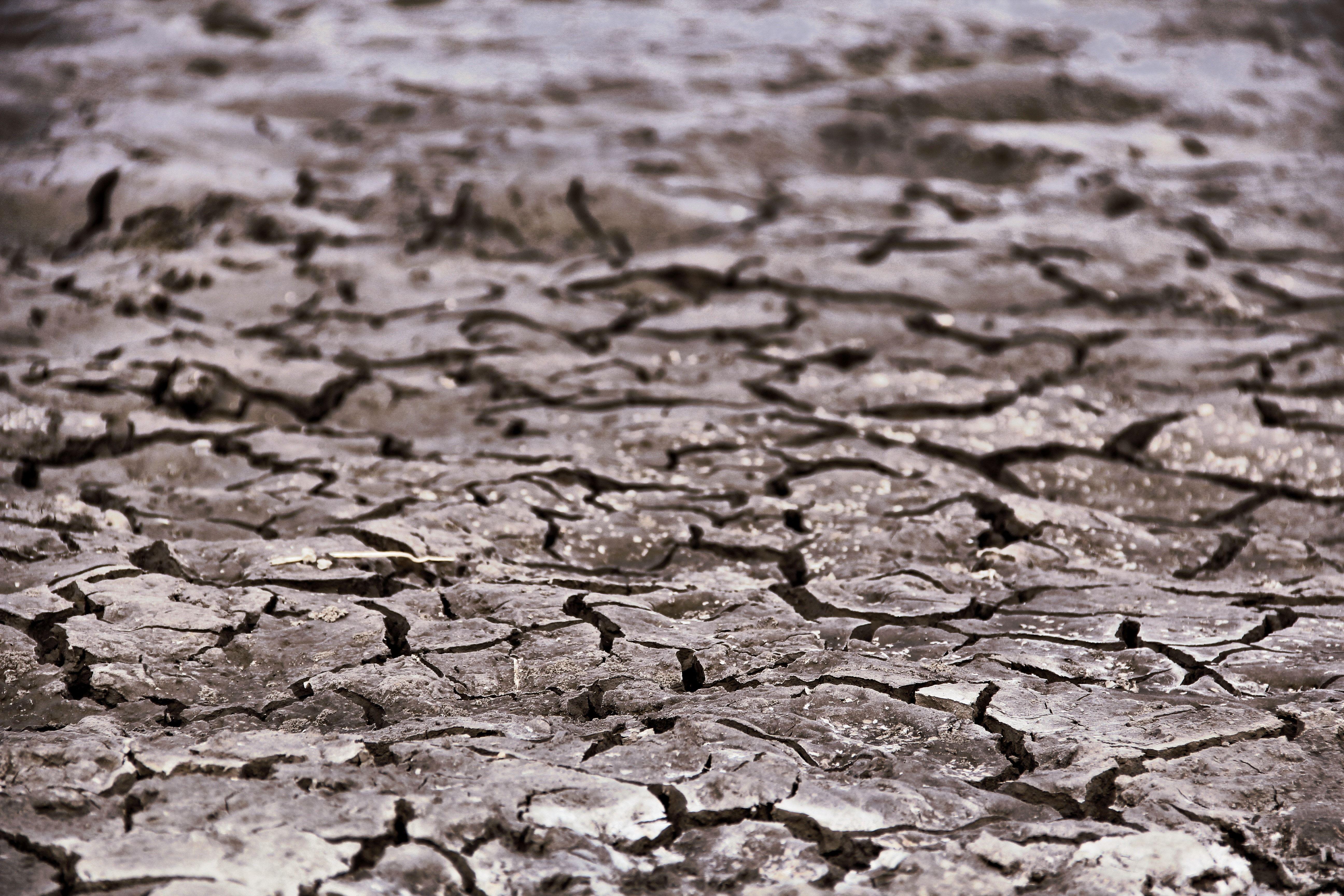 brown drought land free image