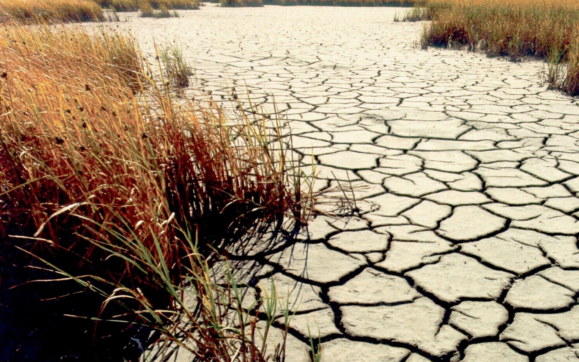 image of Drought Wallpaper Background Image - #FAN