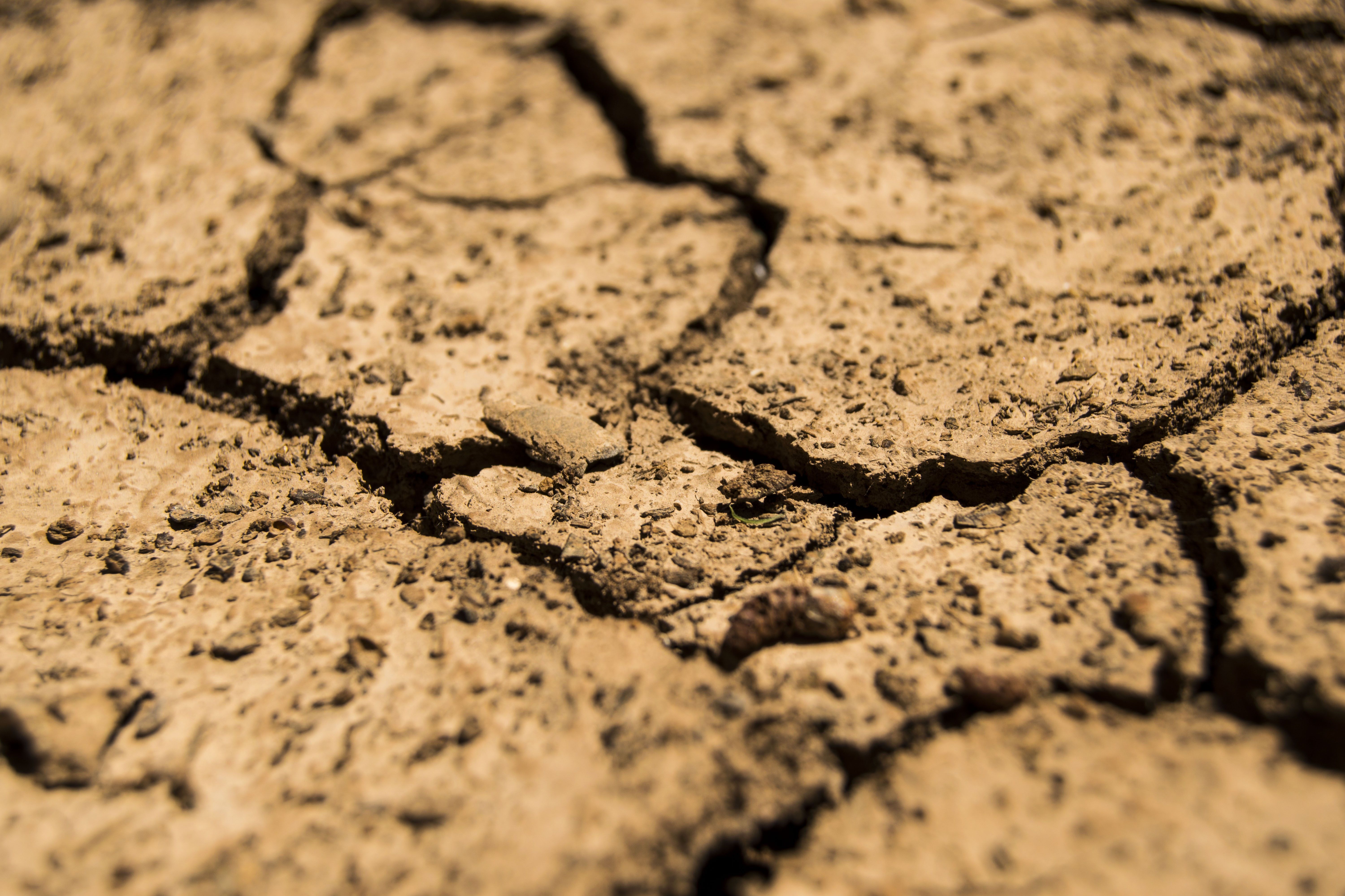Cracked Earth by the drought 6K UHD Wallpaper
