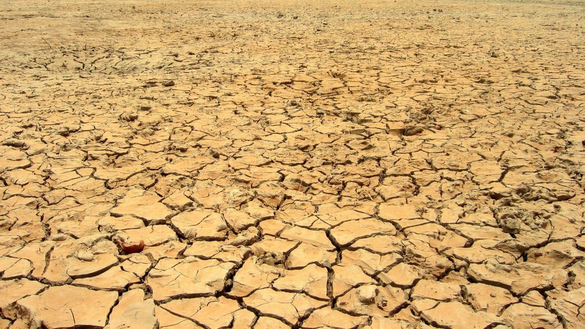 Drought, desert, cracks, earth