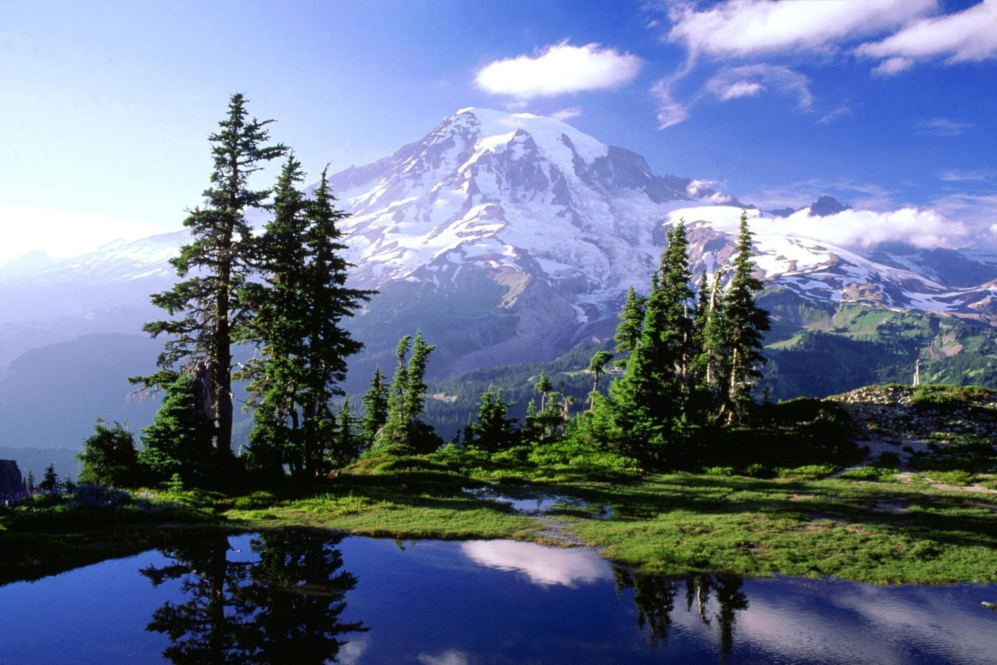 Mt Rainier Wallpaper