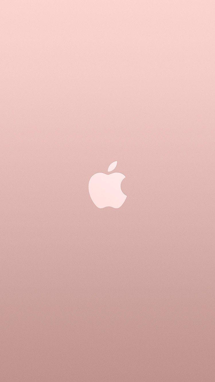 iPhone 8 wallpaper. logo apple pink rose
