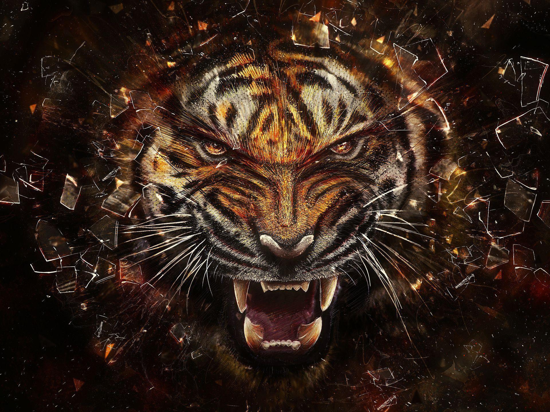 Angry Tiger. Tiger wallpaper, Tiger artwork, Tiger picture