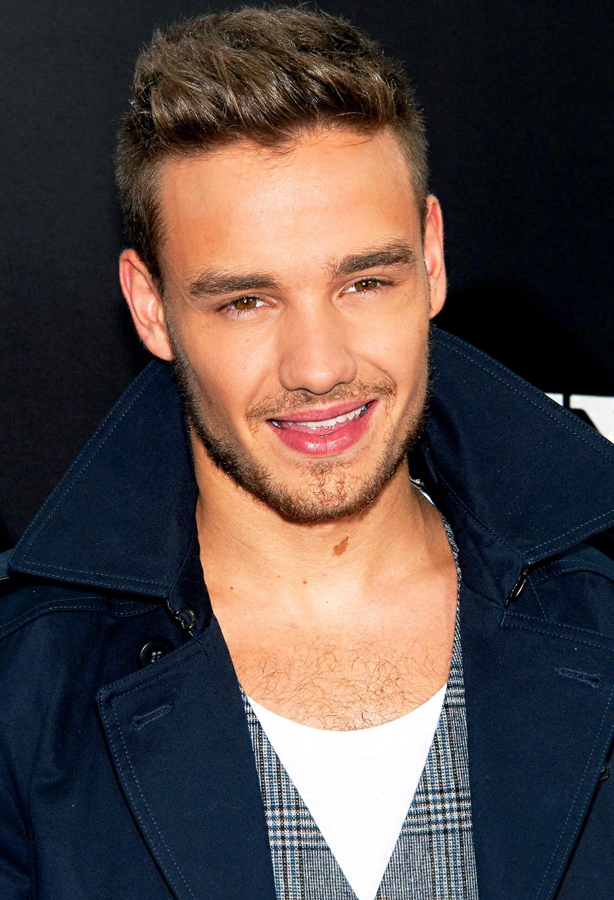 liam payne 2014 one direction. Desktop Background for Free HD