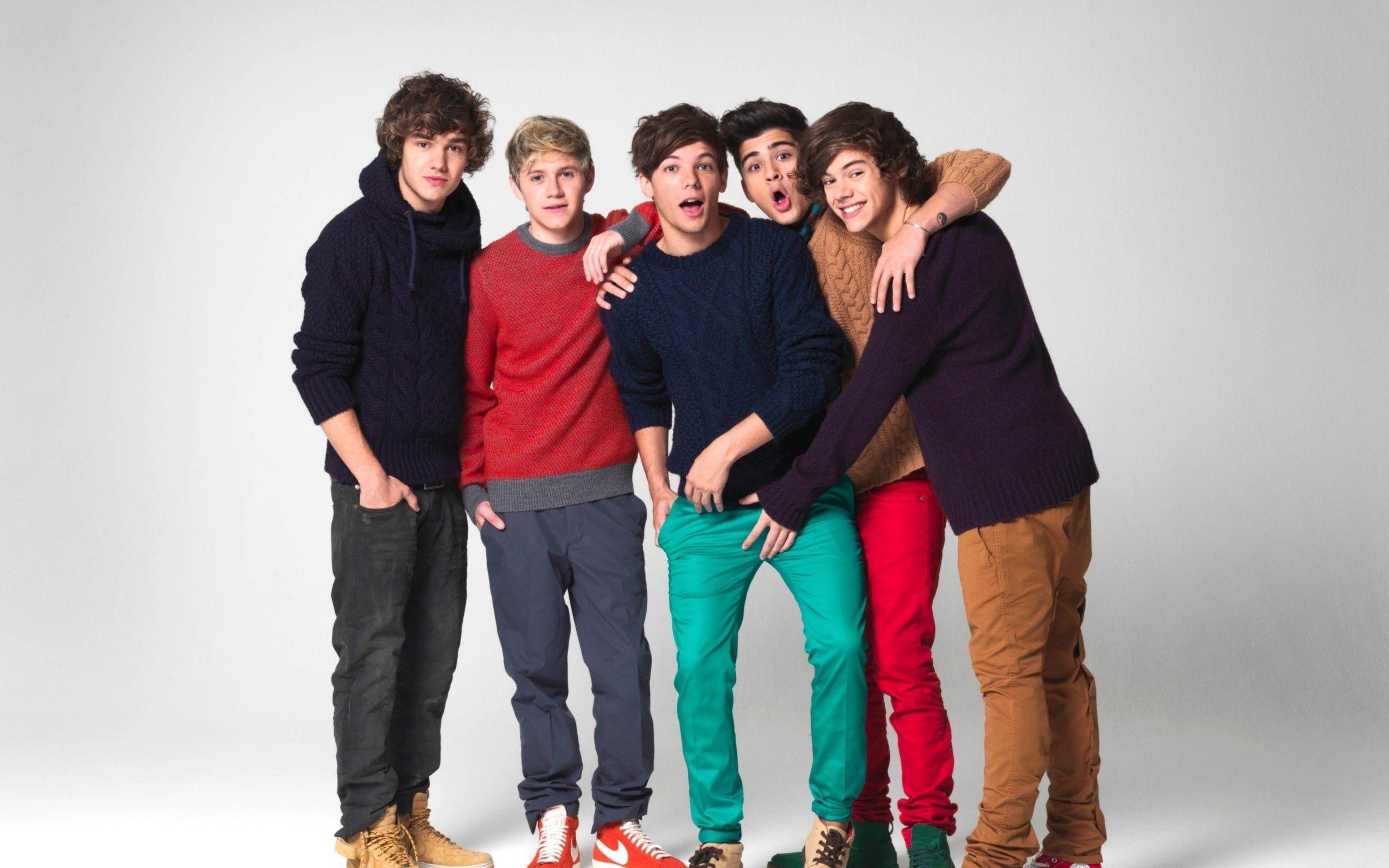 Niall Horan, Zayn Malik, Liam Payne, Harry Styles and Louis