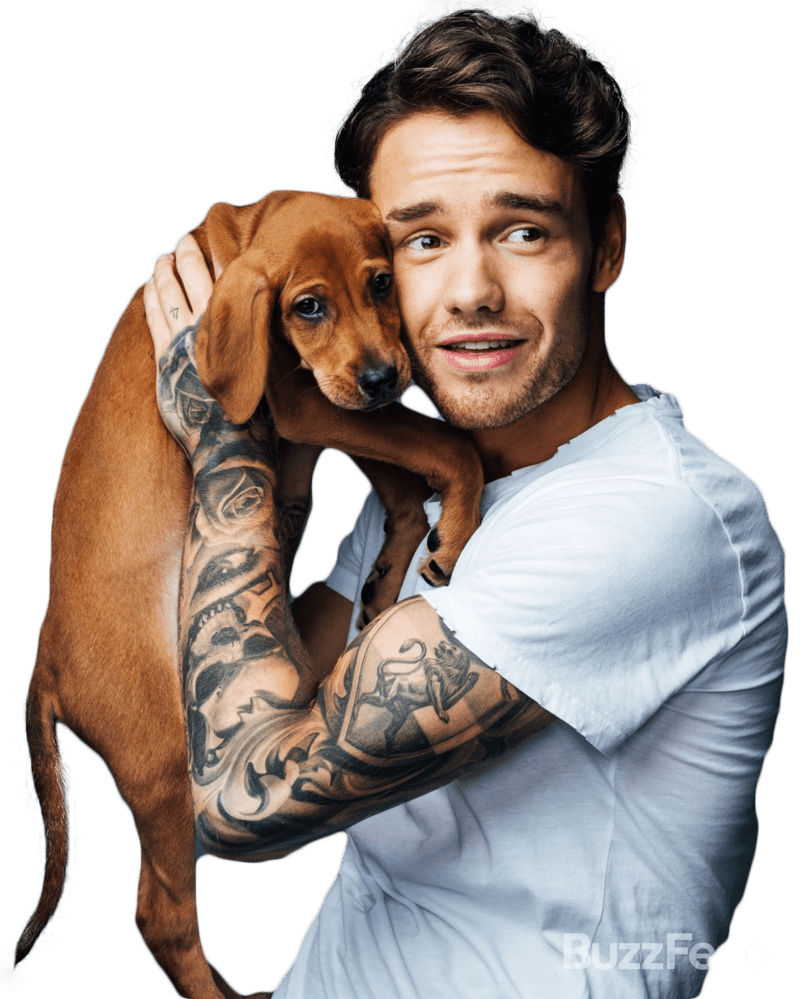 PNG Ft. Liam Payne By Andie Mikaelson