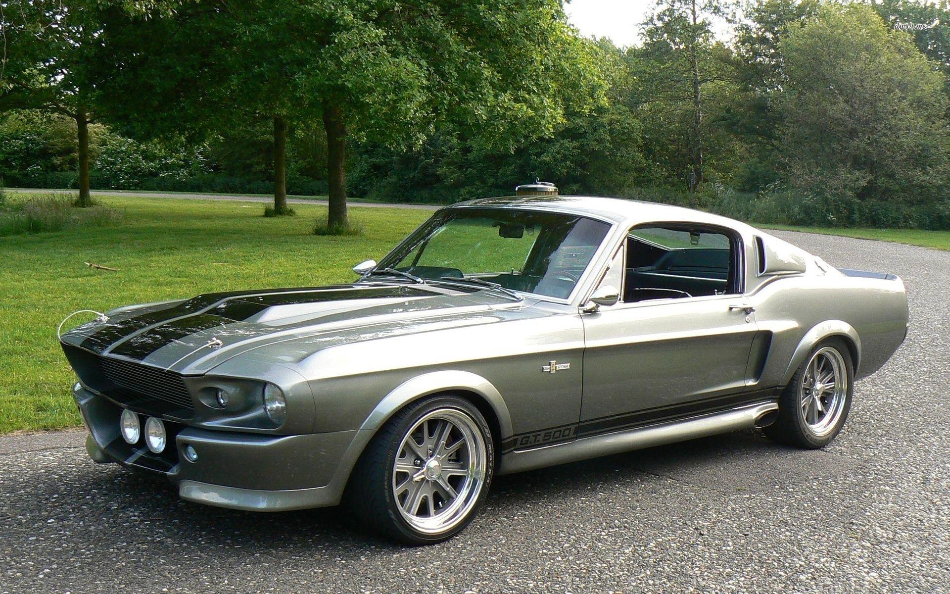 Ford Mustang Shelby GT 500 wallpaper wallpaper