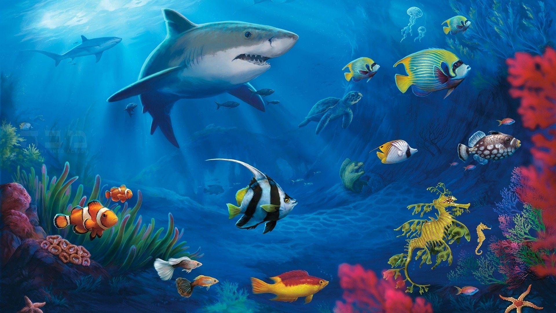 nature, fish, live, sharks, underwater, sealife wallpaper