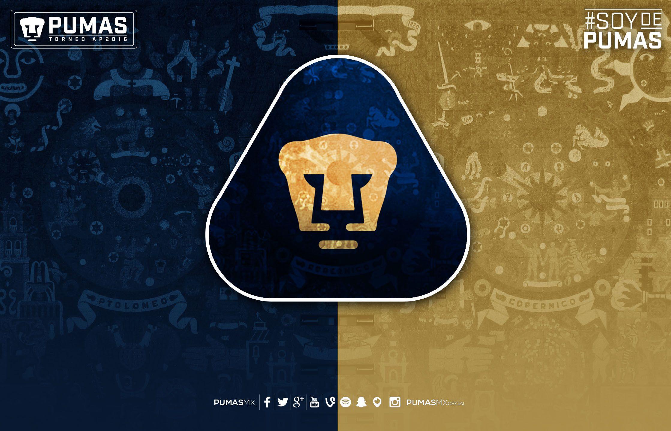 Pumas Unam Logo Campeon