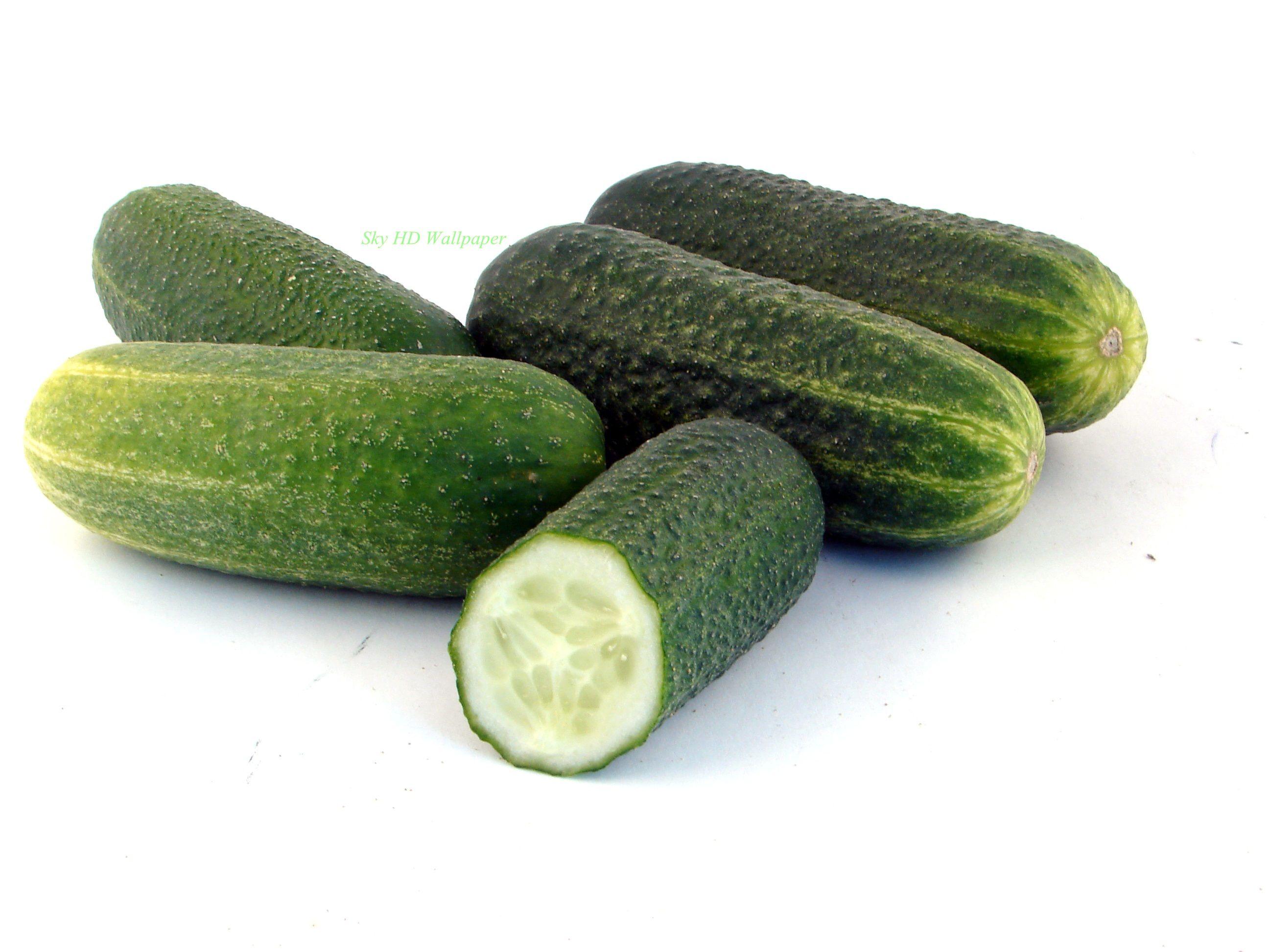 Cucumber Background Images HD Pictures and Wallpaper For Free Download   Pngtree