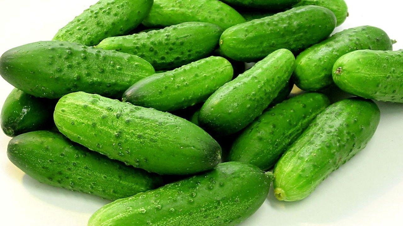 Wallpaper cucumbers, fresh, green, vegetables hd, picture, image