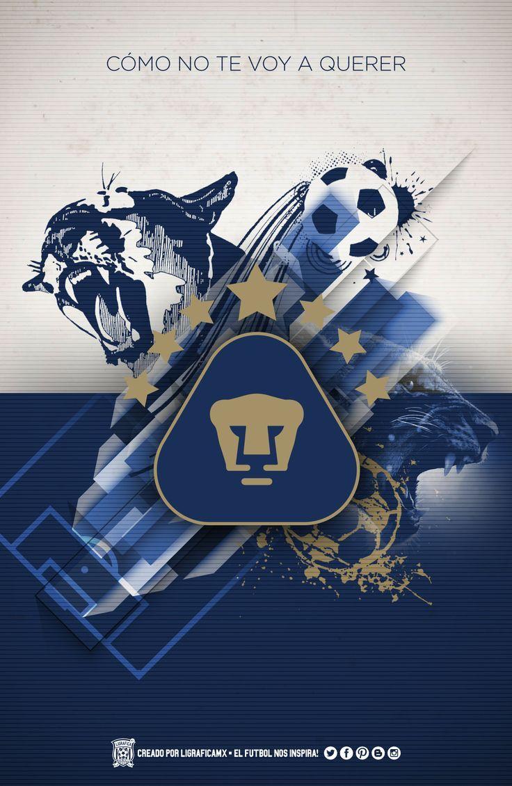 best Pumas image. Blue, Gold and Snood