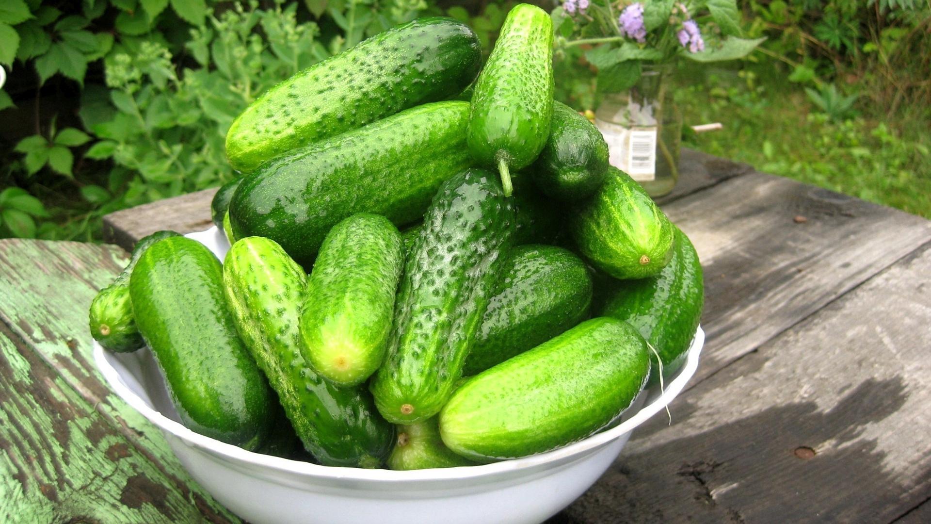 Cucumbers wallpaper. nature and landscape