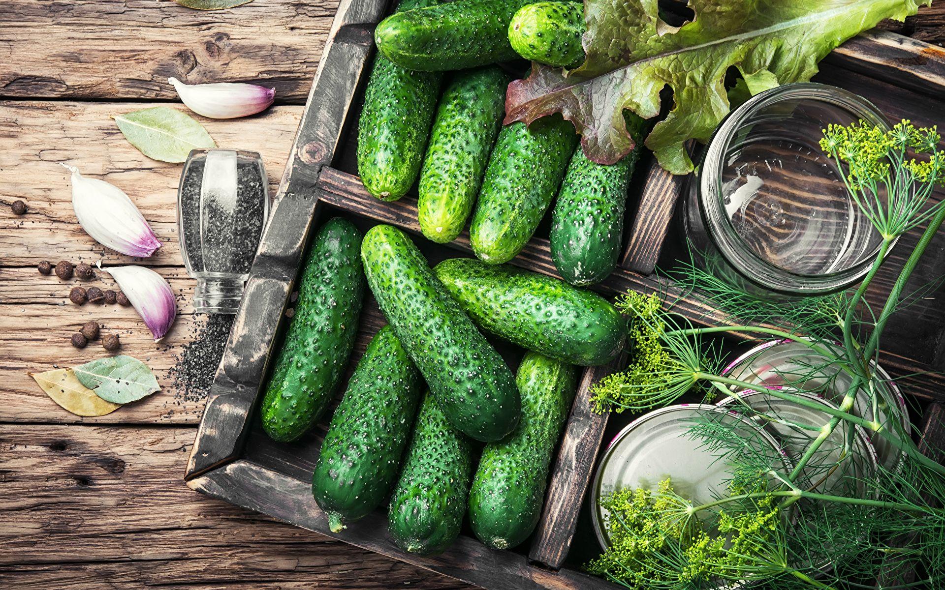 Picture Cucumbers Dill Garlic Food Vegetables Wood planks 1920x1200