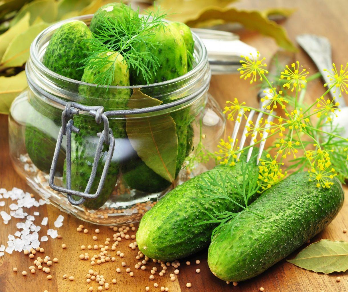 Best & Inspirational High Quality Dill Background, Wallpaper