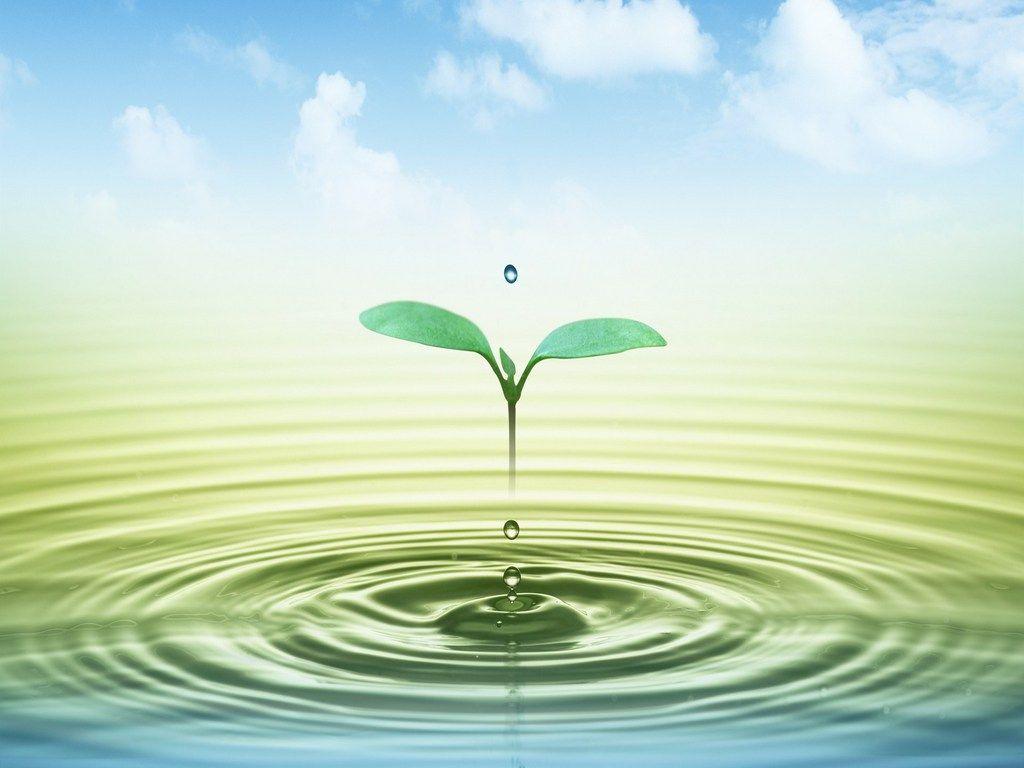 tranquility. Free water tranquility Wallpaper The Free