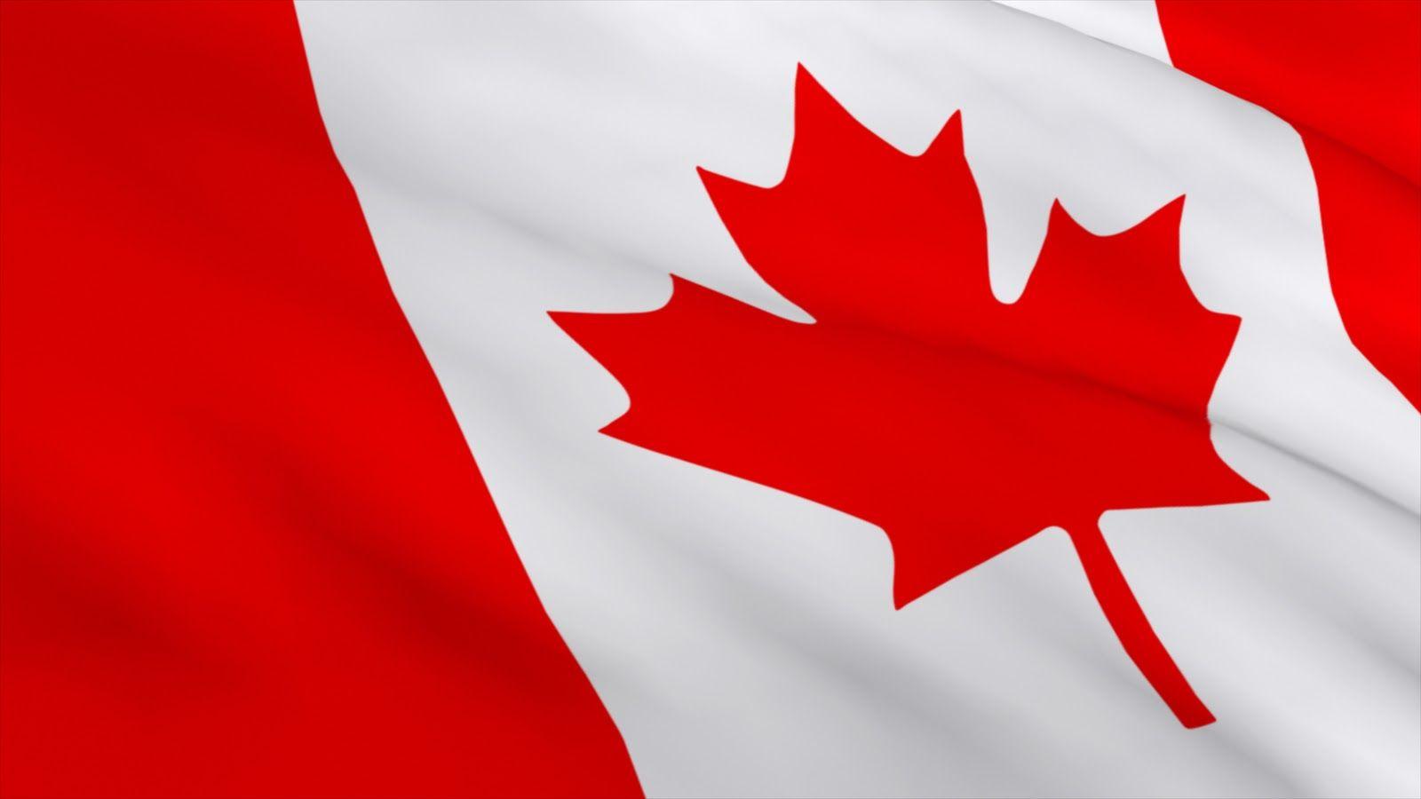 Happy Canada Day!. START Logo Design, Graphic Design, Website