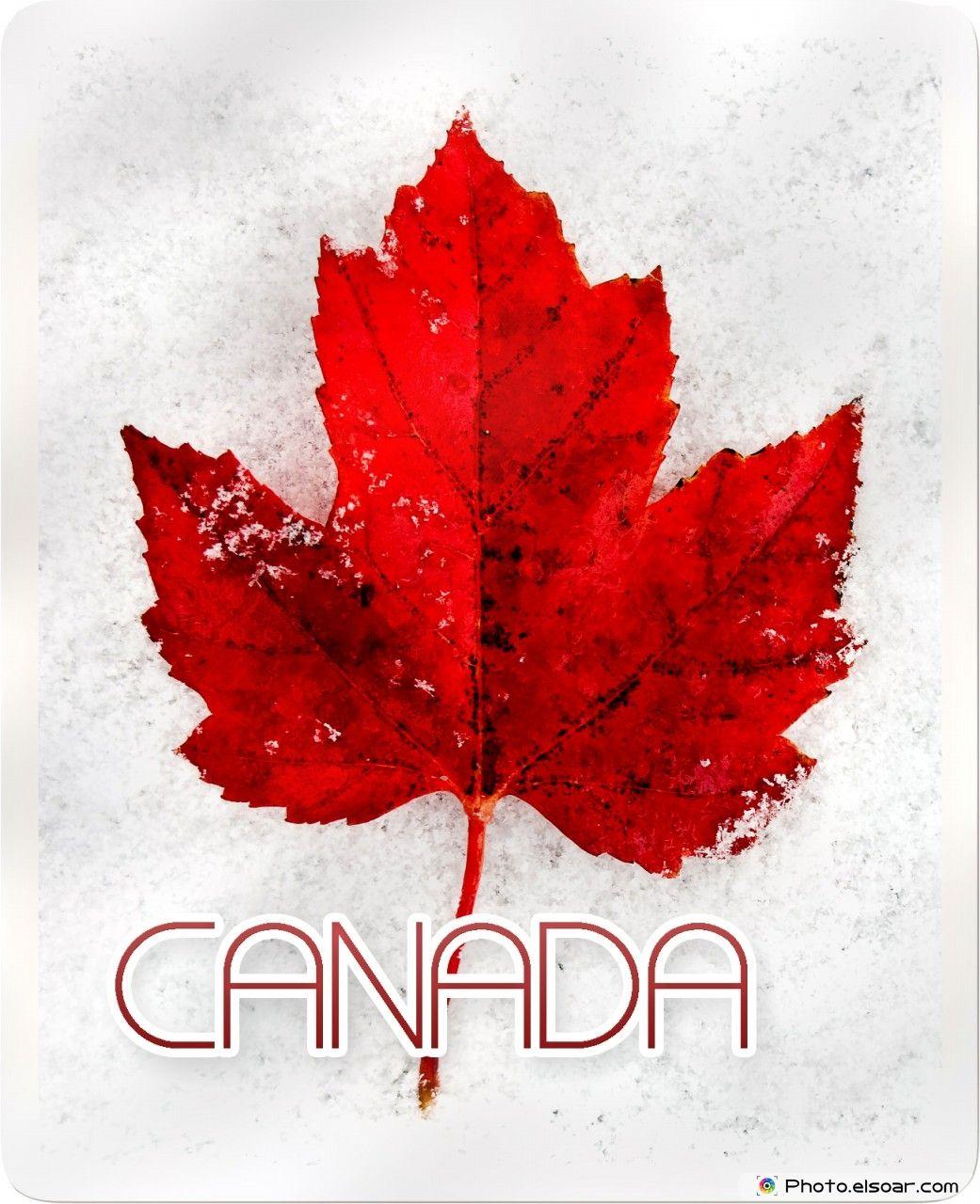 Most Amazing Canada Day Picture And Wallpaper Happy Canada