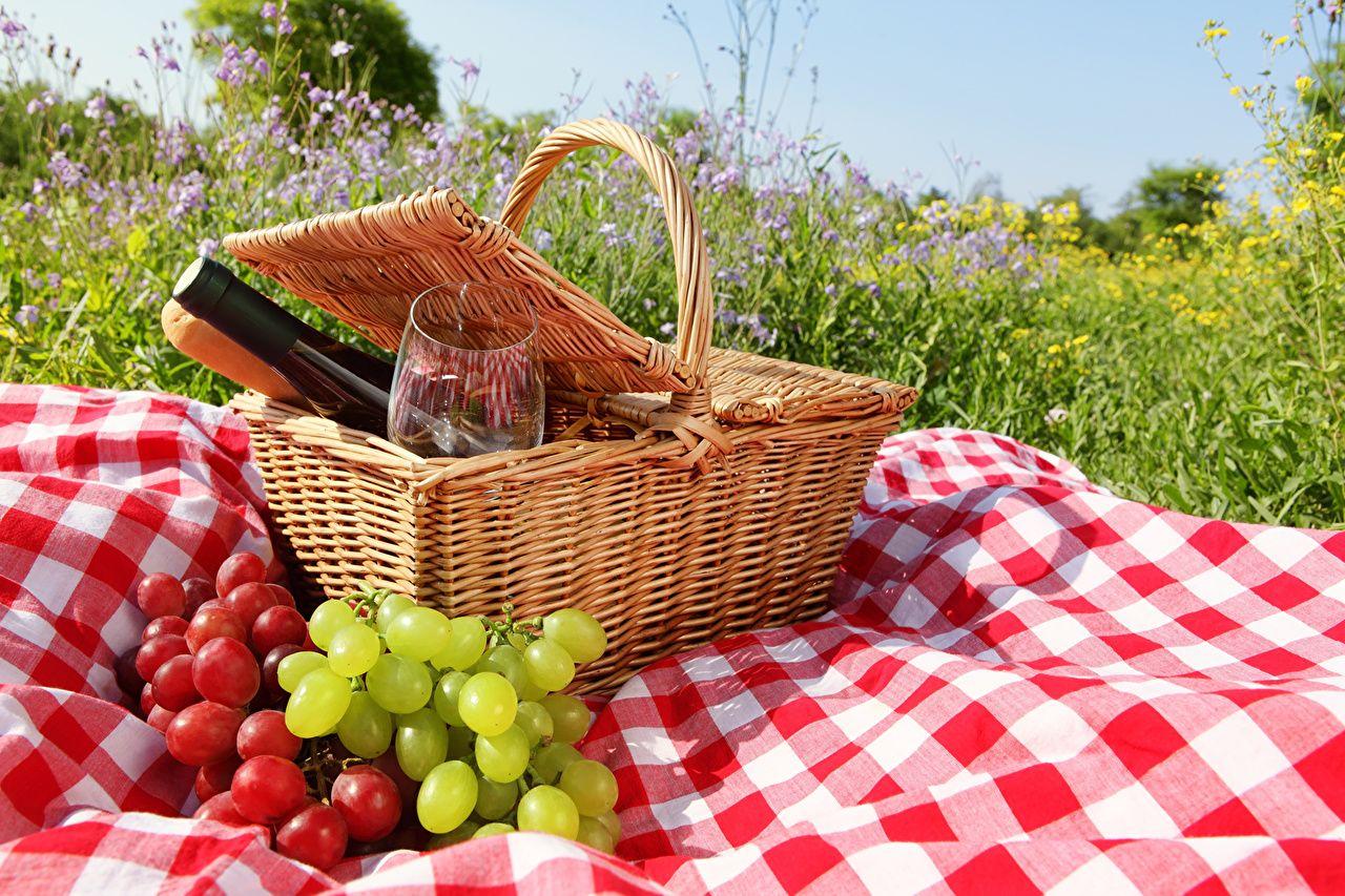 Picnic Background Wallpaper