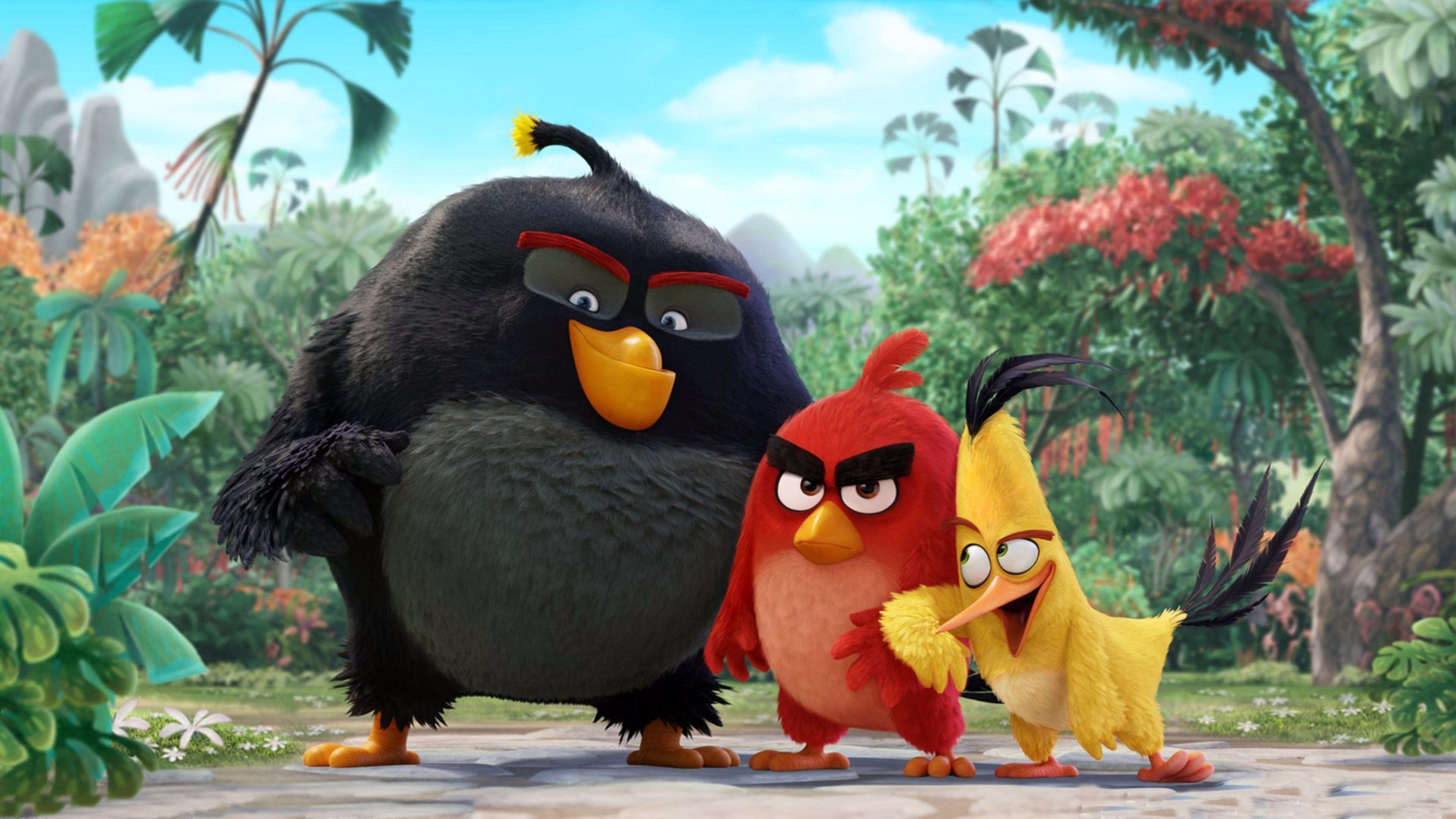New The Angry Birds Movie 4K Wallpaper. Free 4K Wallpaper