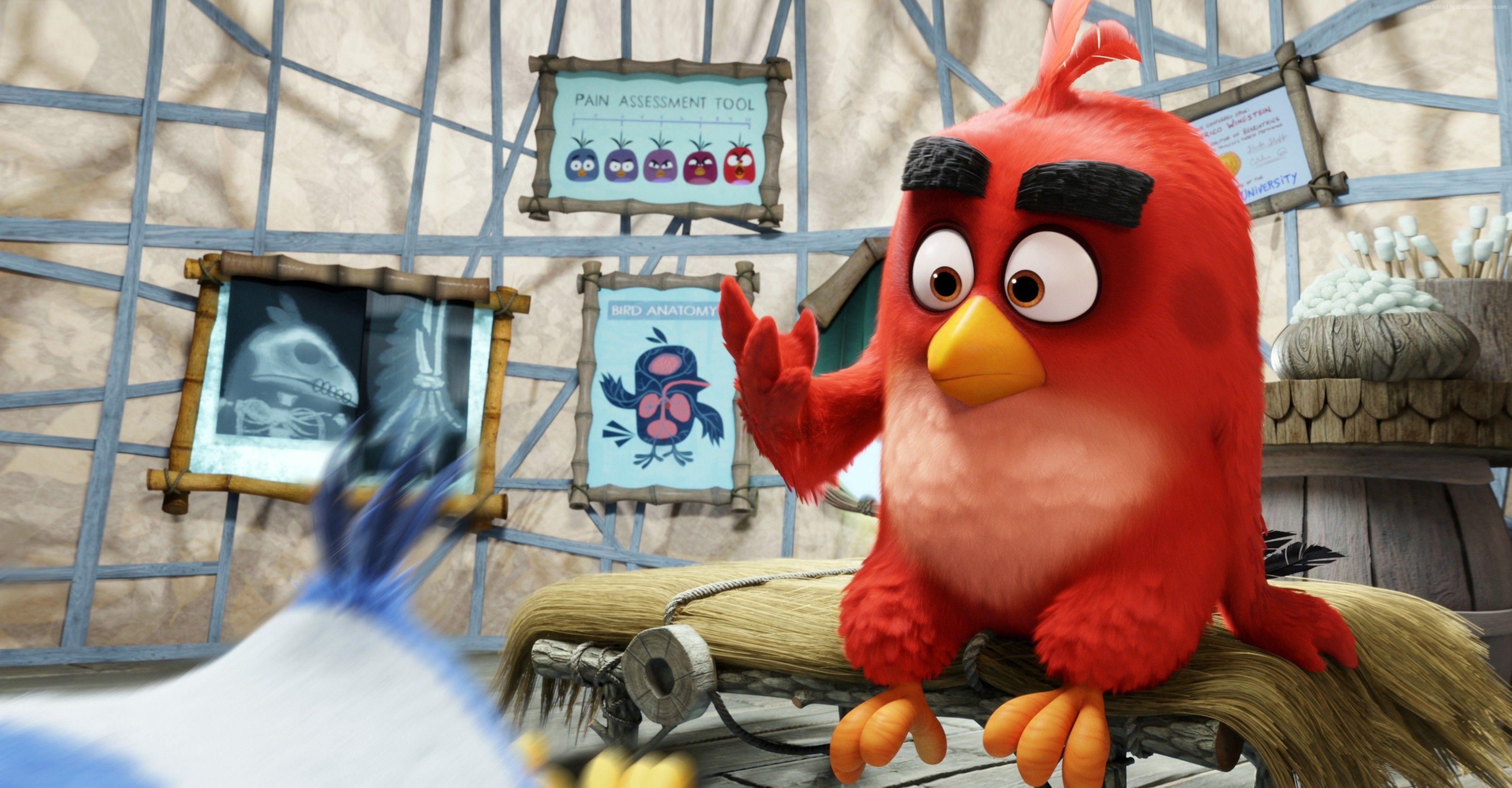 Wallpaper Angry Birds Movie, red, Best Animation Movies of 2016