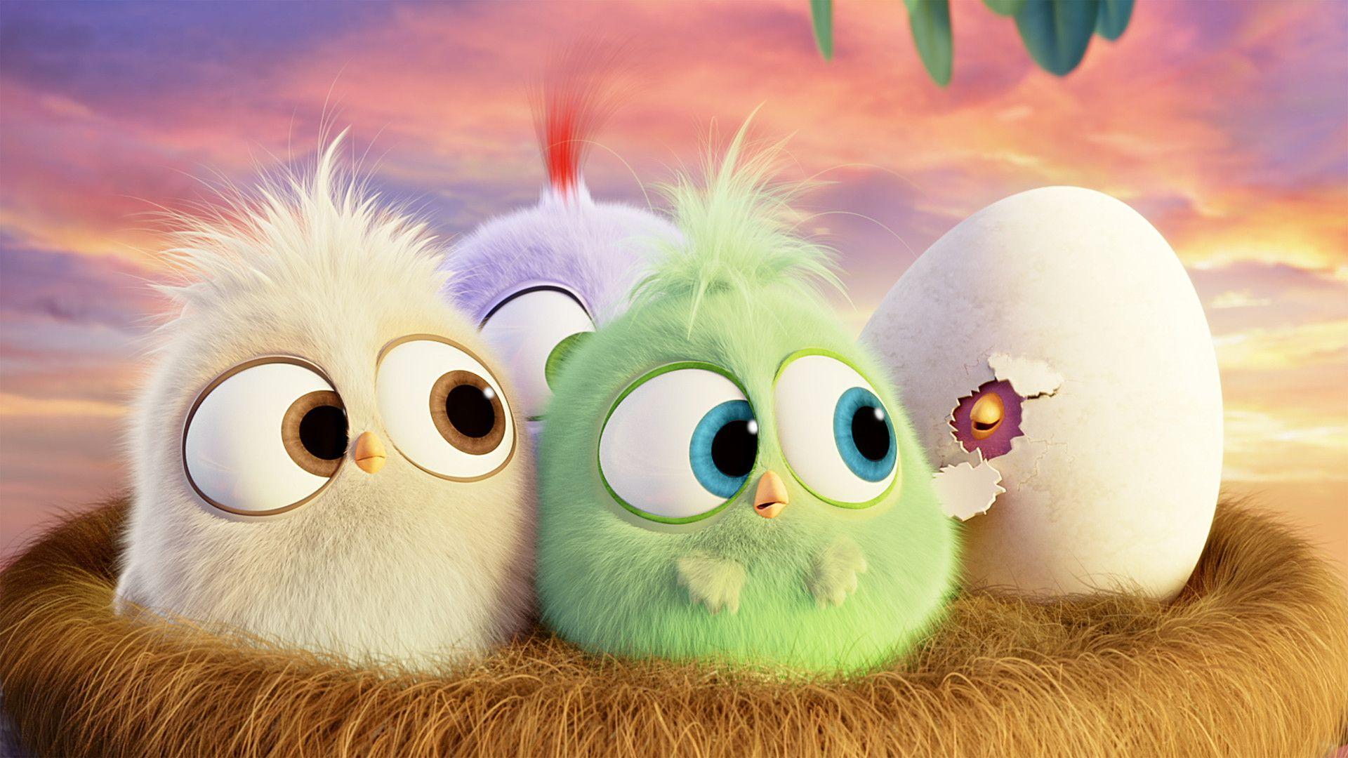 Hatchlings Angry Birds HD Wallpaper [1920x1080]