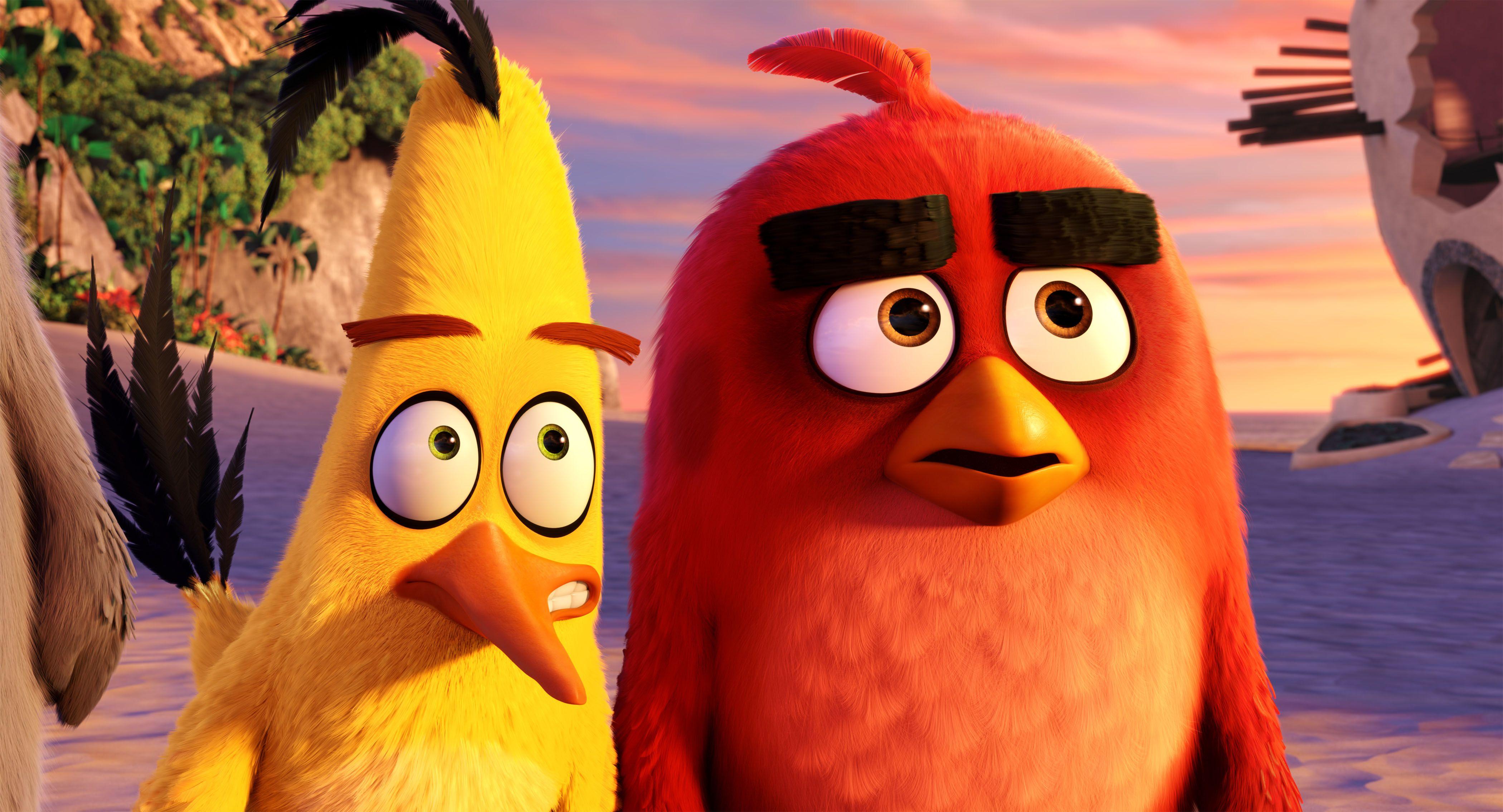 Widescreen For The Angry Birds Movie High Resolution And Quality HD