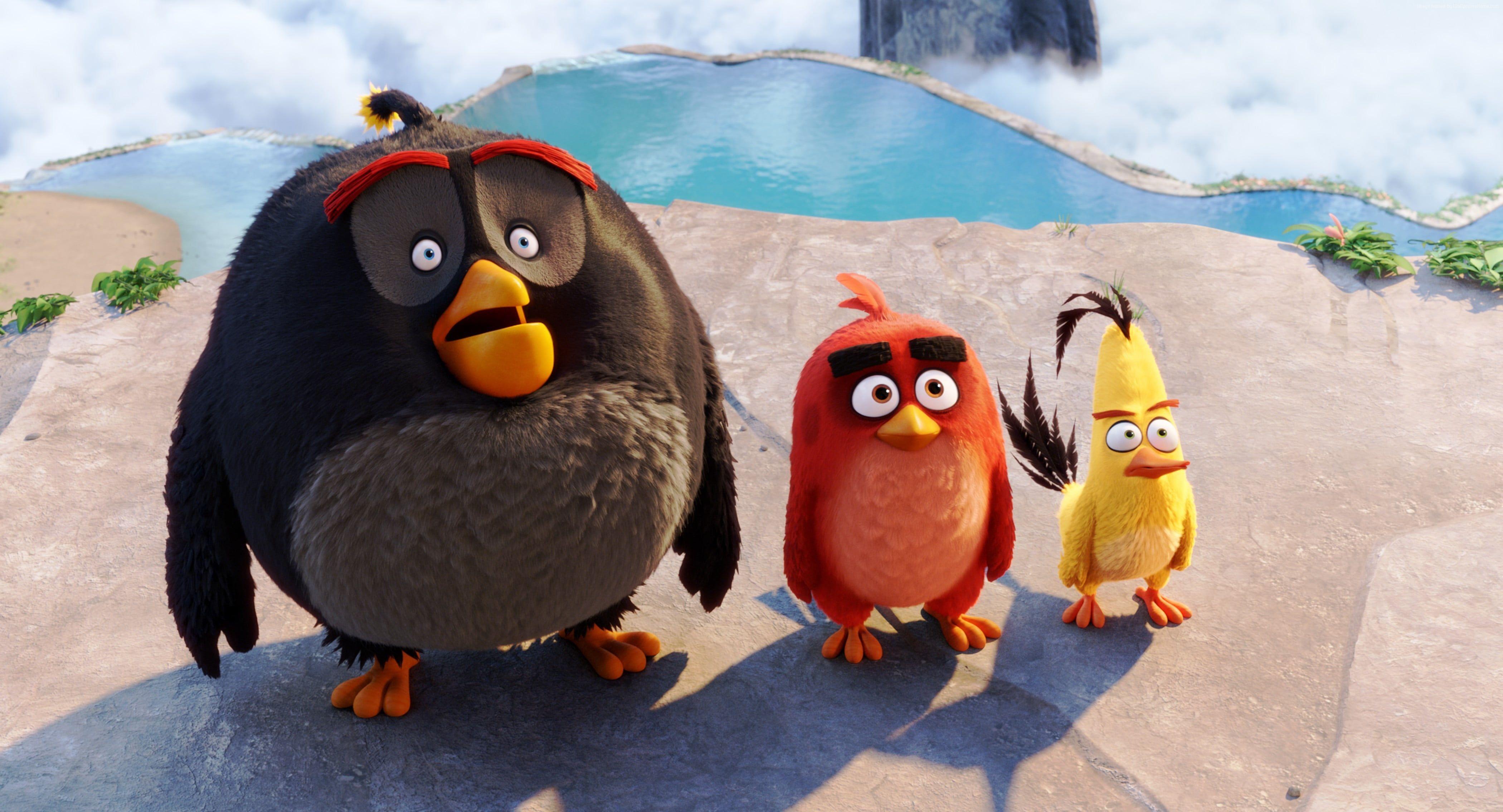 Angry Birds movie HD wallpaper