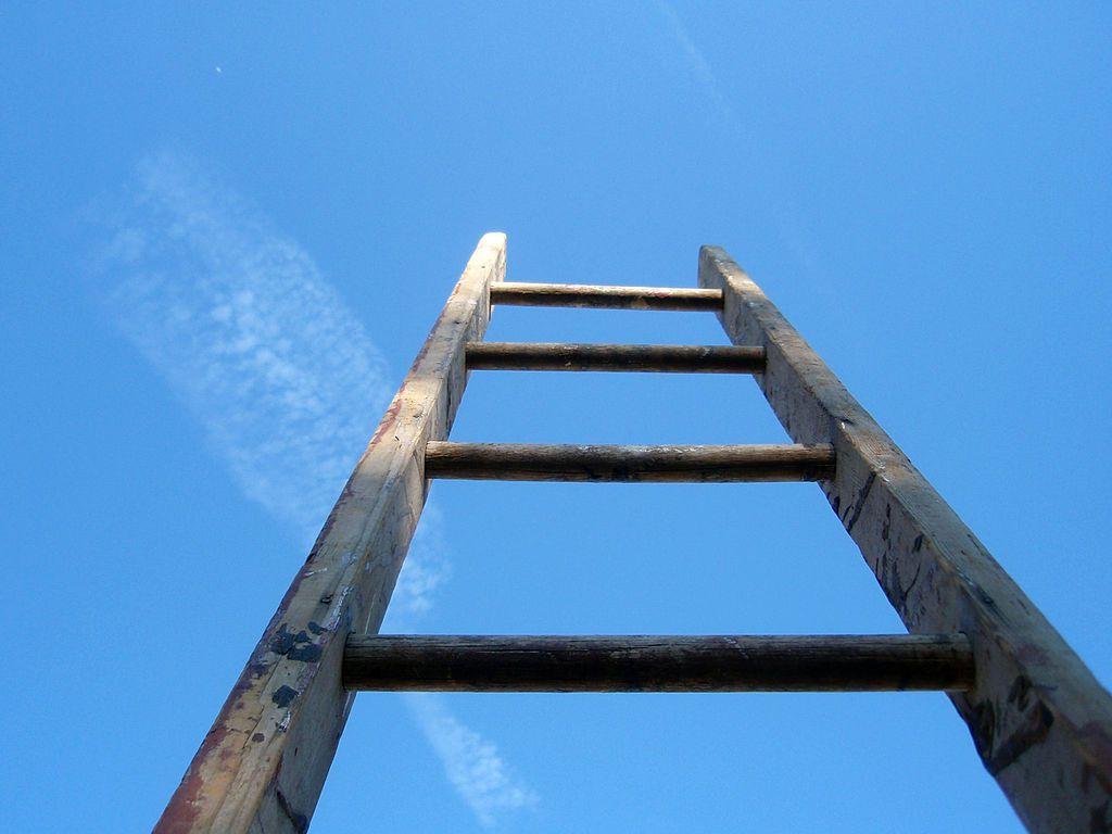 Beauty Ladder Of Success