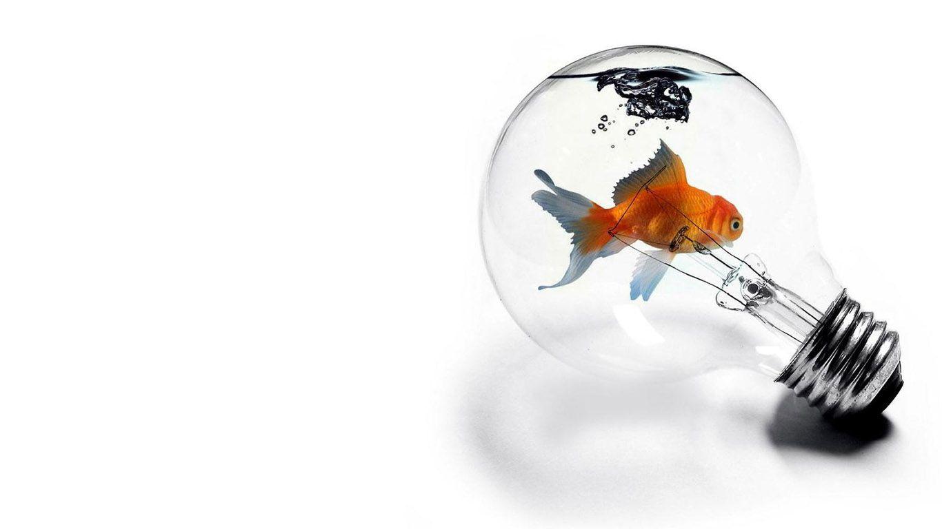 WallpaperfreekS: Mind Blowing HD Wallpaper 1366 × 768