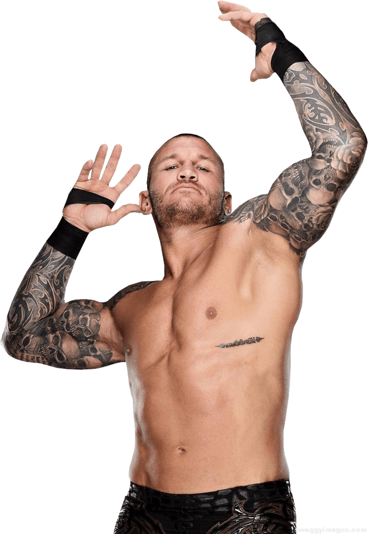 Randy Orton 2018 Image