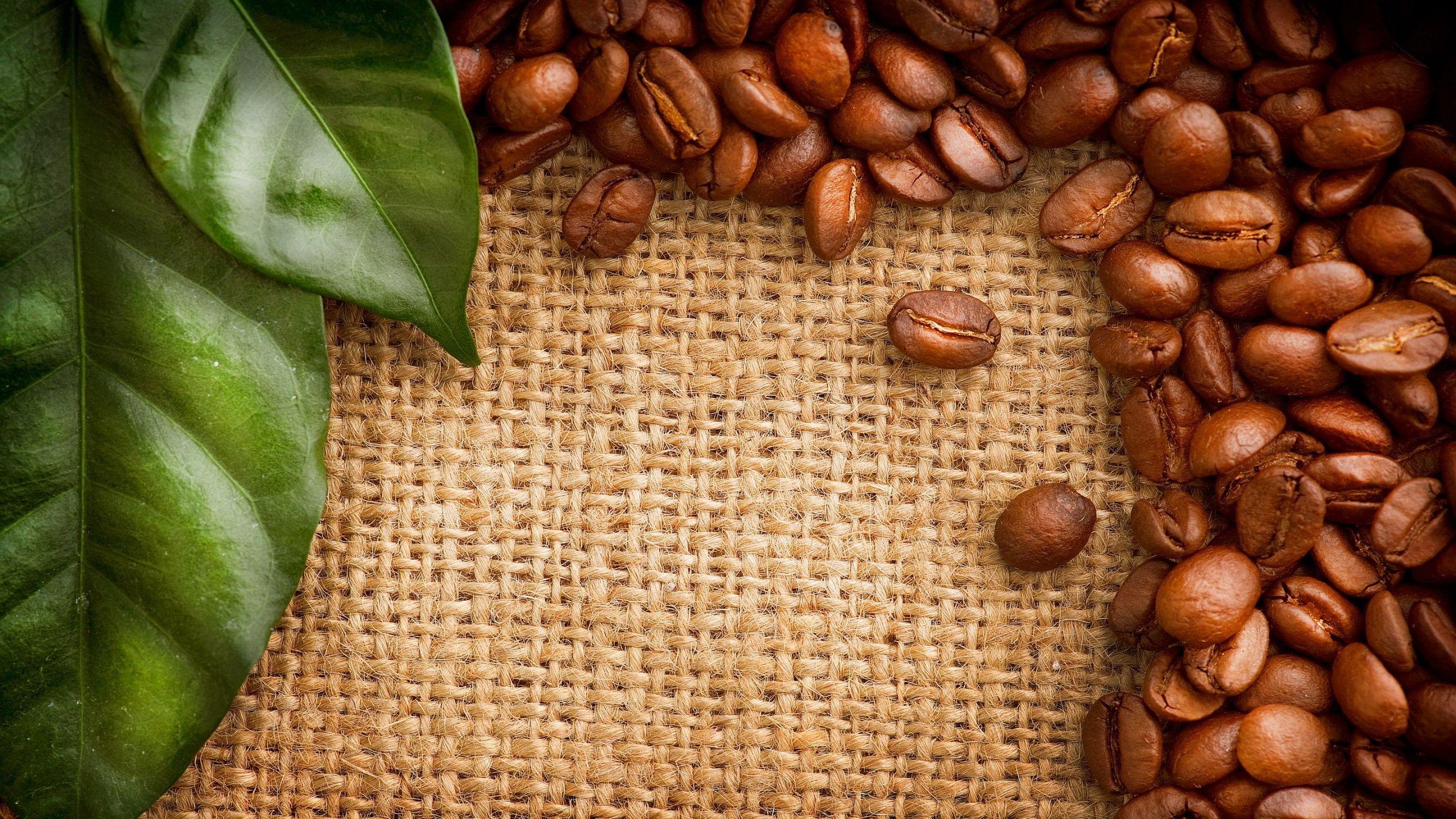 Coffee Beans HD Wallpaper. Beans image, Beans, Coffee image