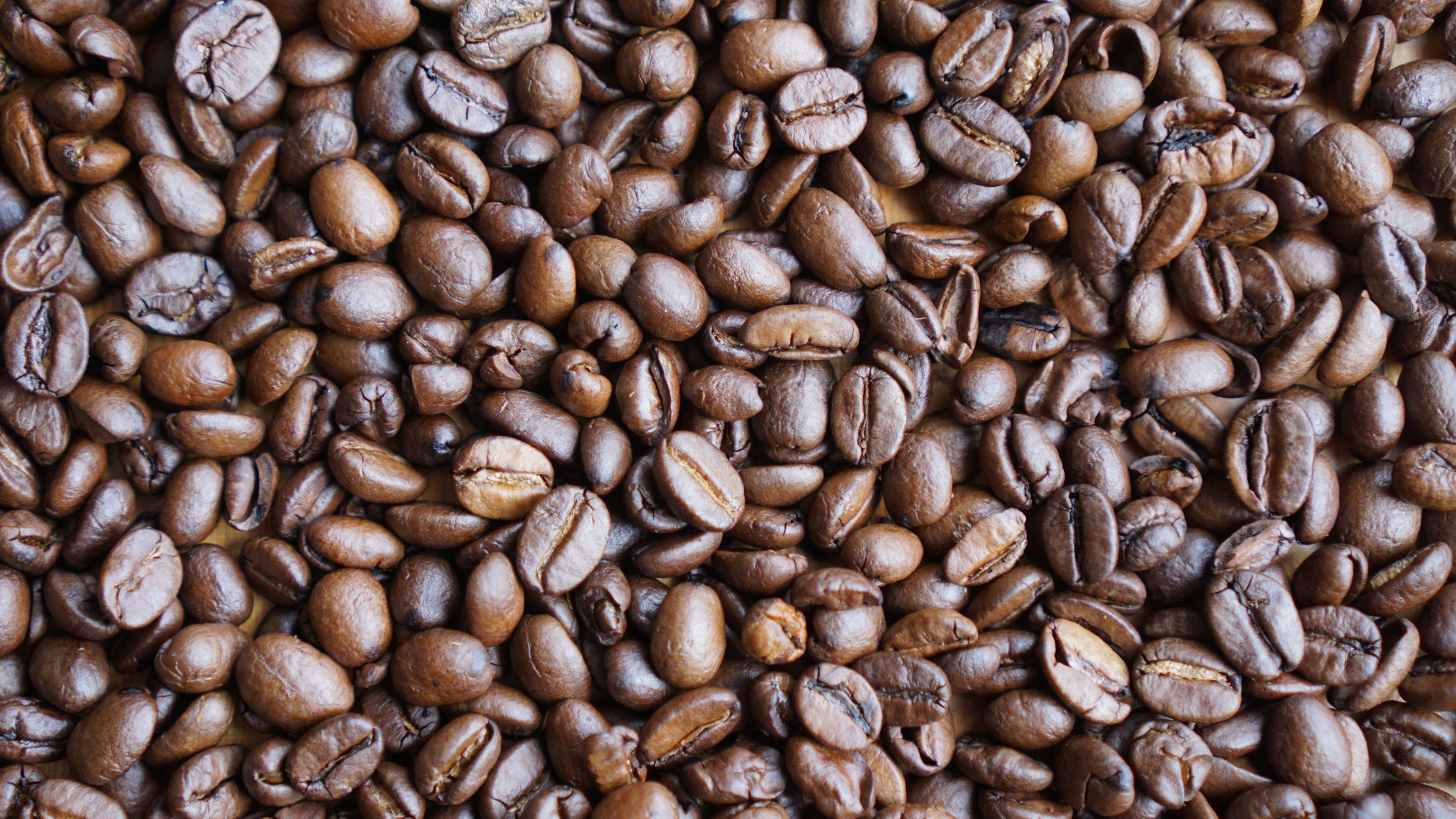 Download Coffee Beans wallpapers for mobile phone free Coffee Beans HD  pictures