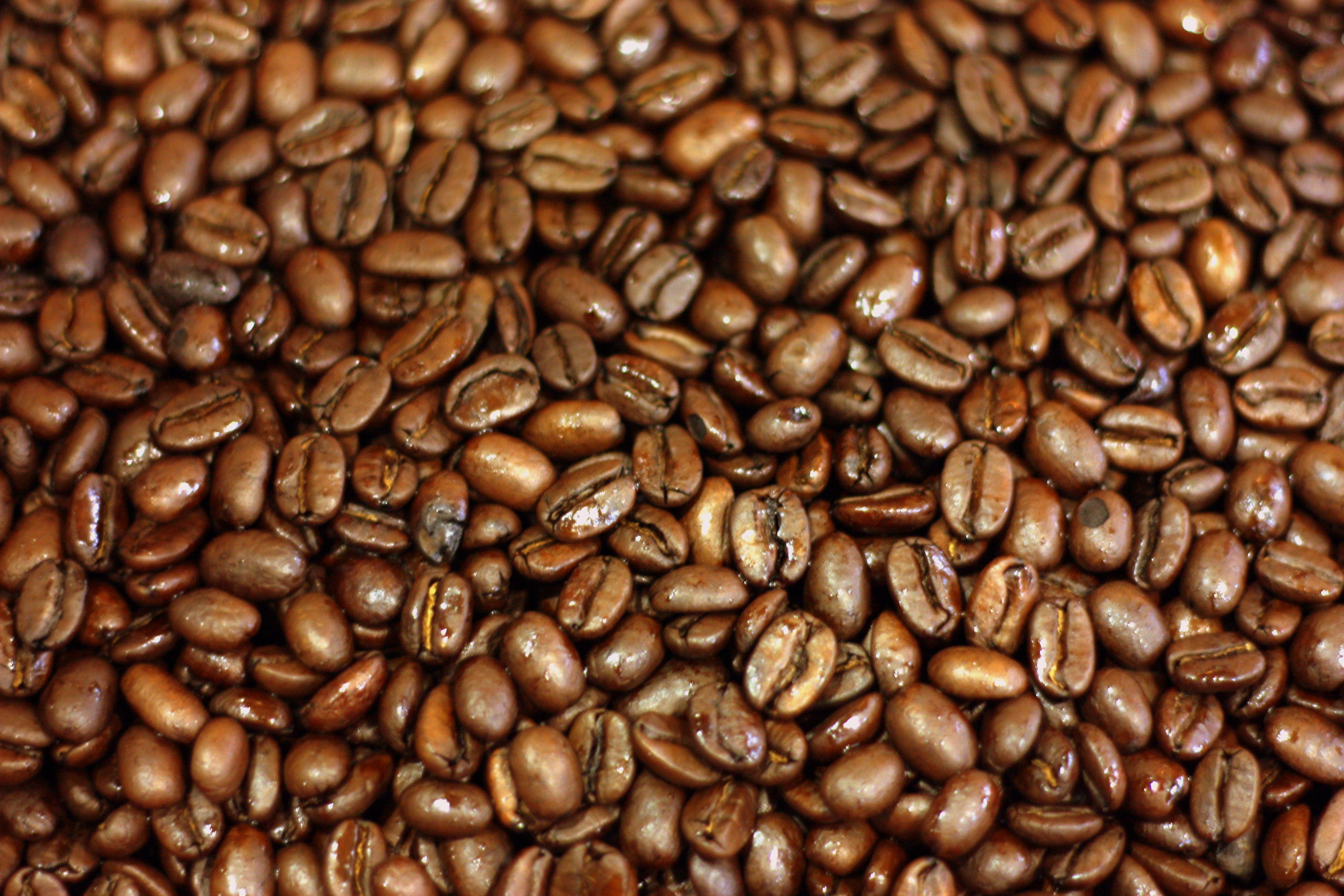 Coffee Beans HD Wallpaper