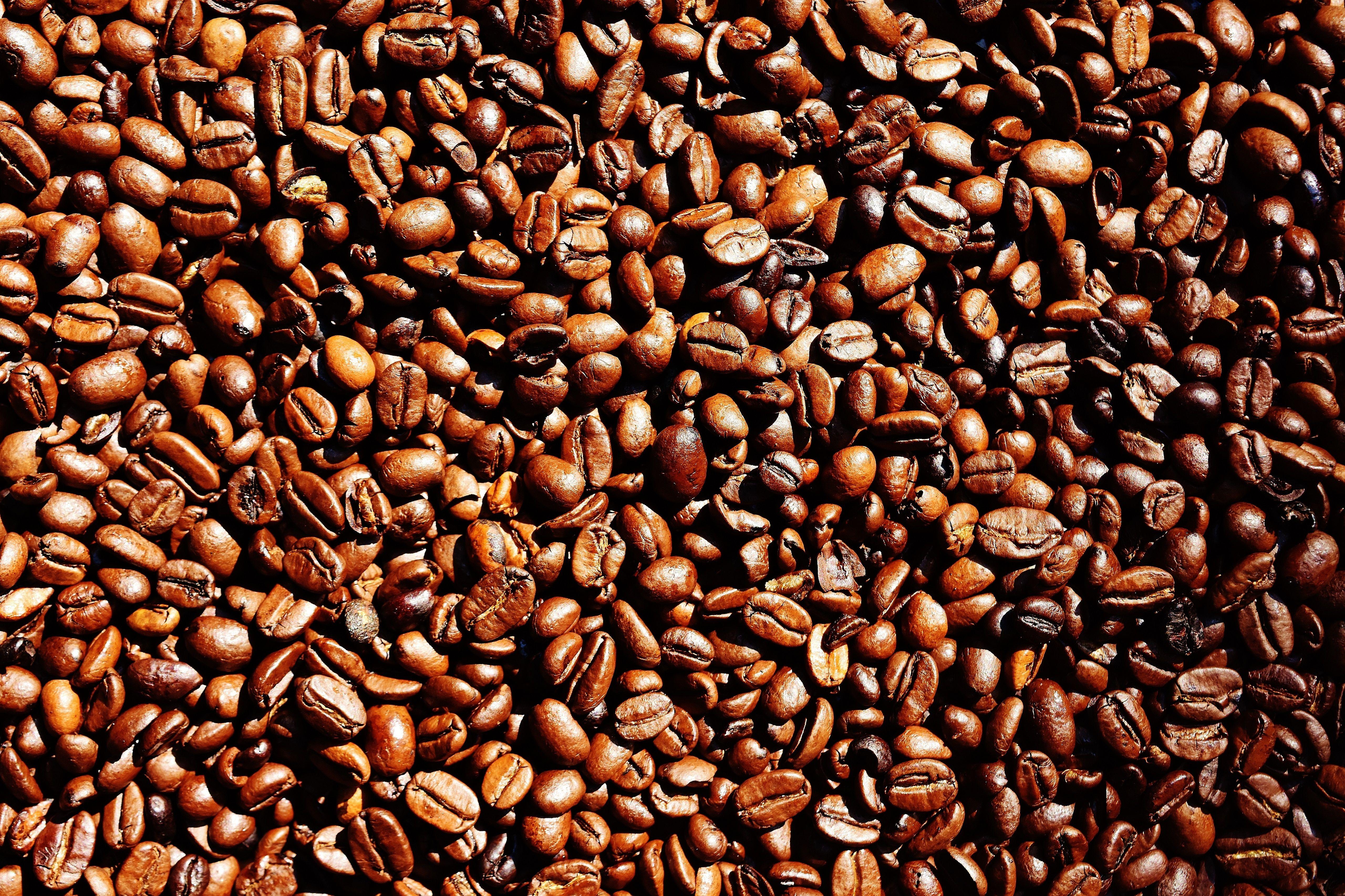 Coffee Beans 4K 5K Wallpaper. HD Wallpaper Background