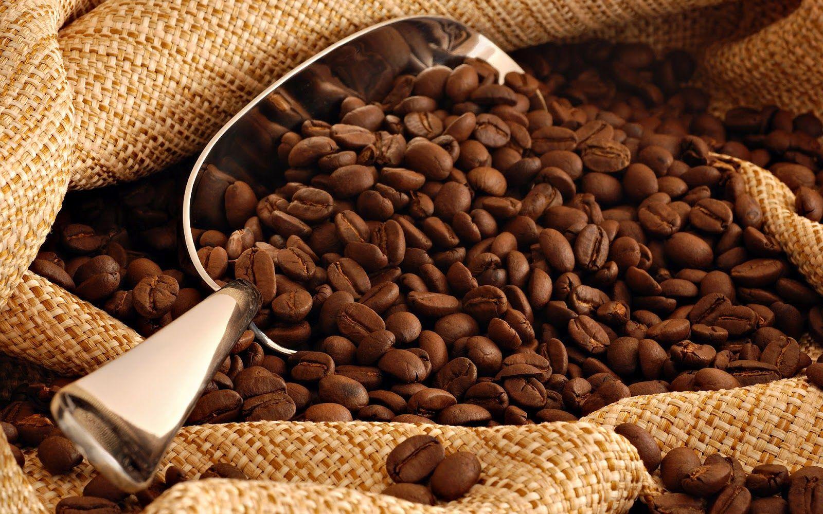 Coffee Beans