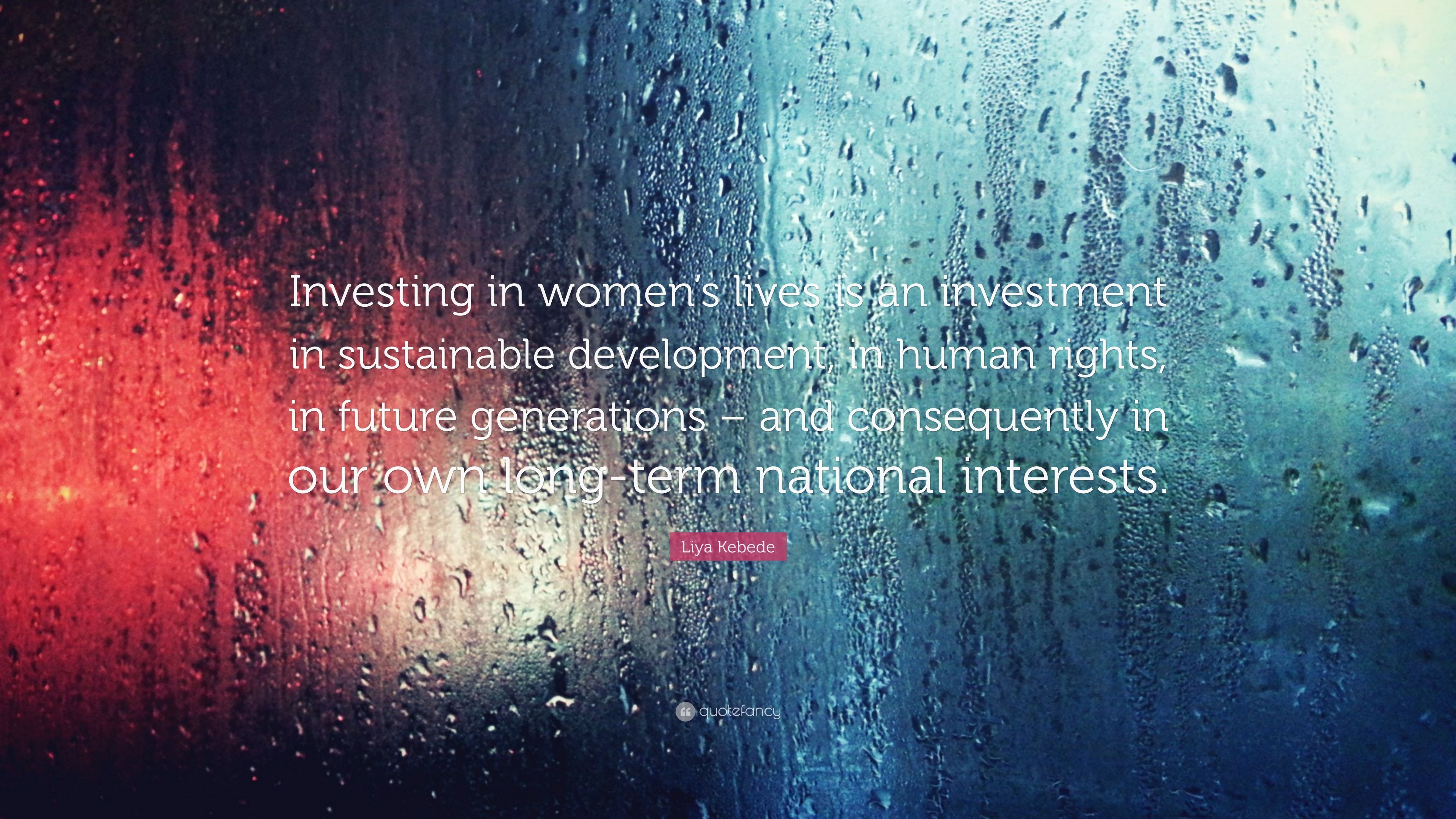 Liya Kebede Quote: “Investing in women's lives is an investment