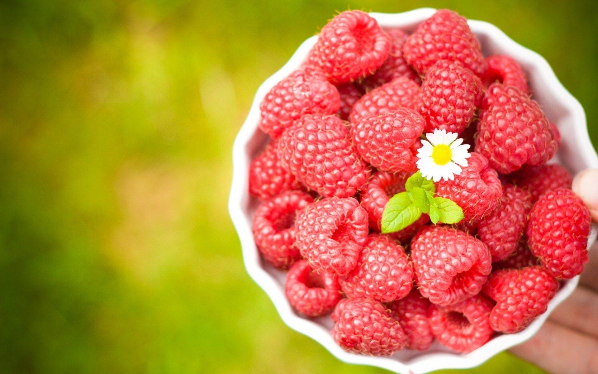 Raspberry Plant Flow HD Wallpaper, Background Image
