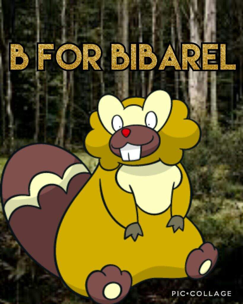 B for Bibarel. Shiny Pokemon Amino Amino