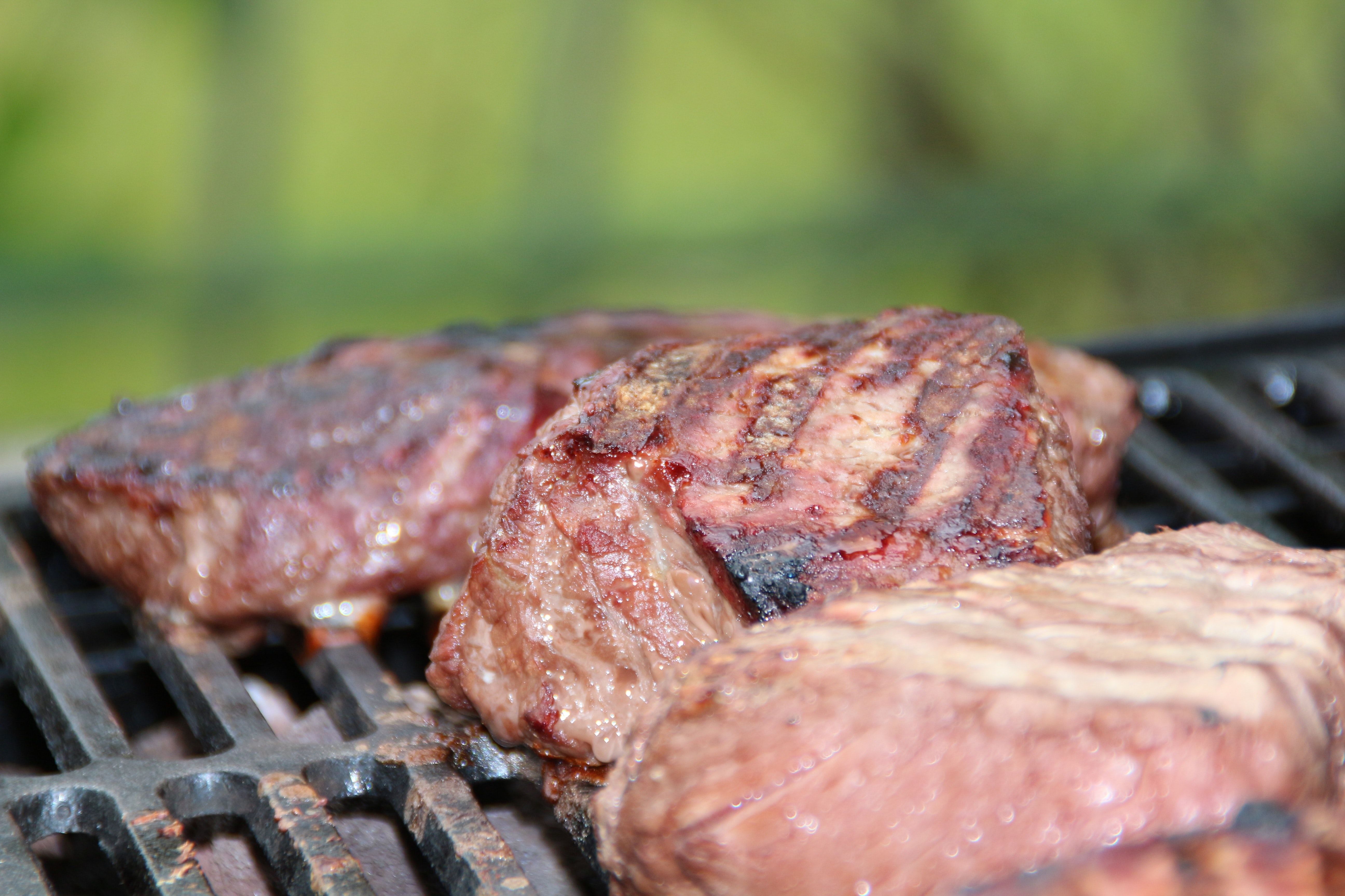 Grilled Meat during Daytime · Free