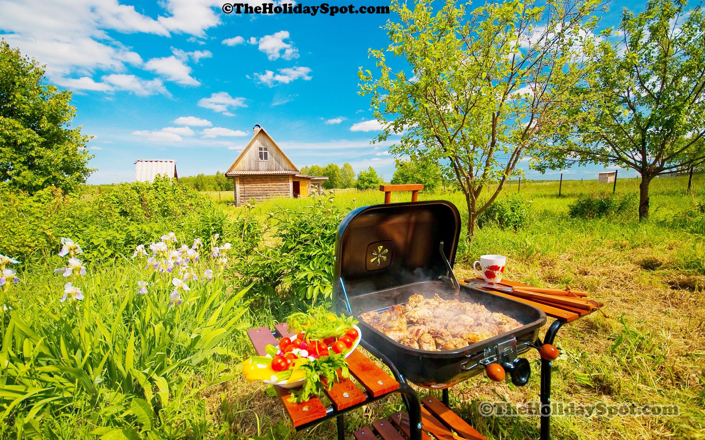 Labor Day Barbecue