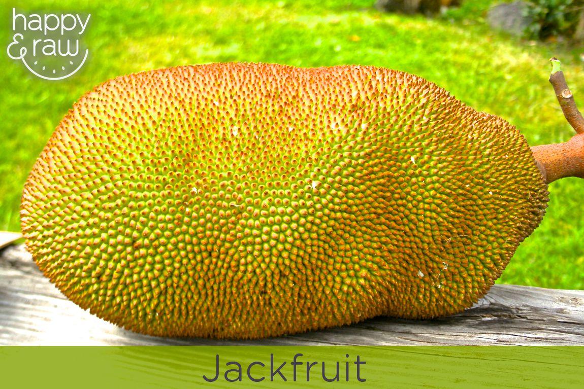 Health Benefits of Jackfruit Dawn & Raw