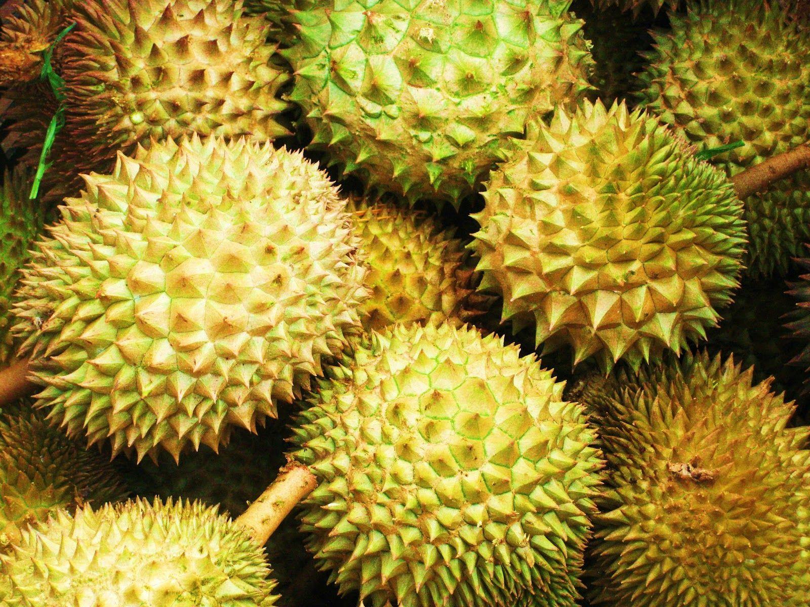 Durian Tasting. The Global Gamine