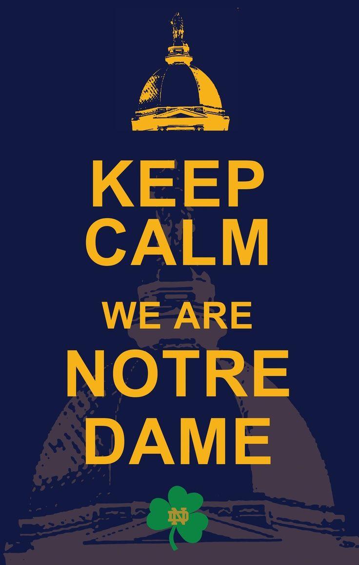 best Notre Dame Quotes, Signs, Flags and more. image