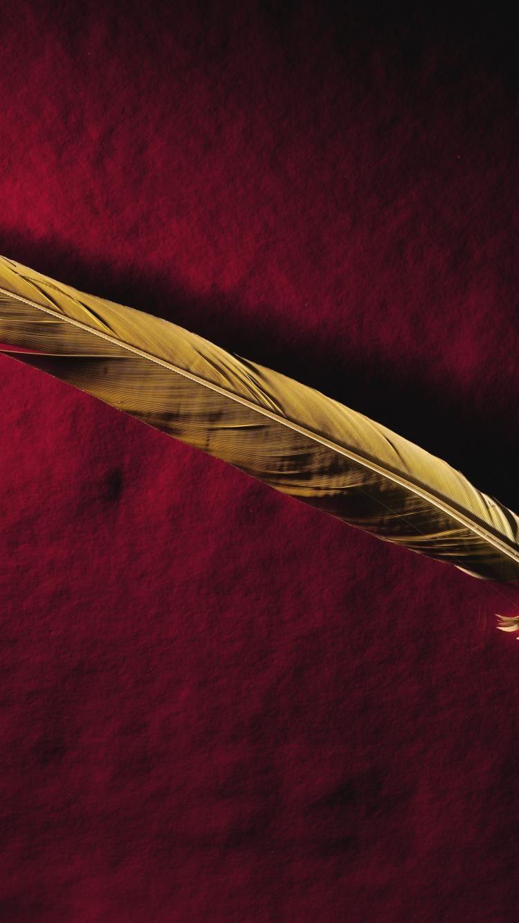 Feathers gold minimalistic red wallpaper